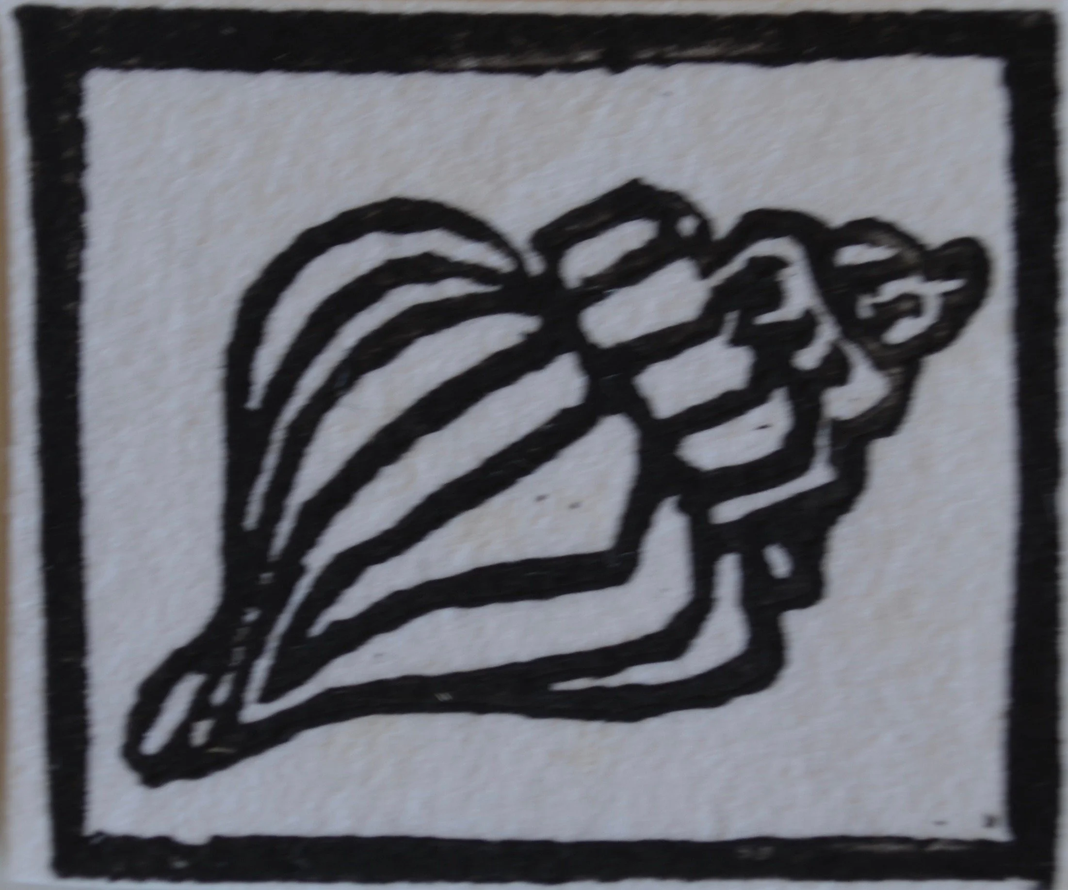 Wrinkle