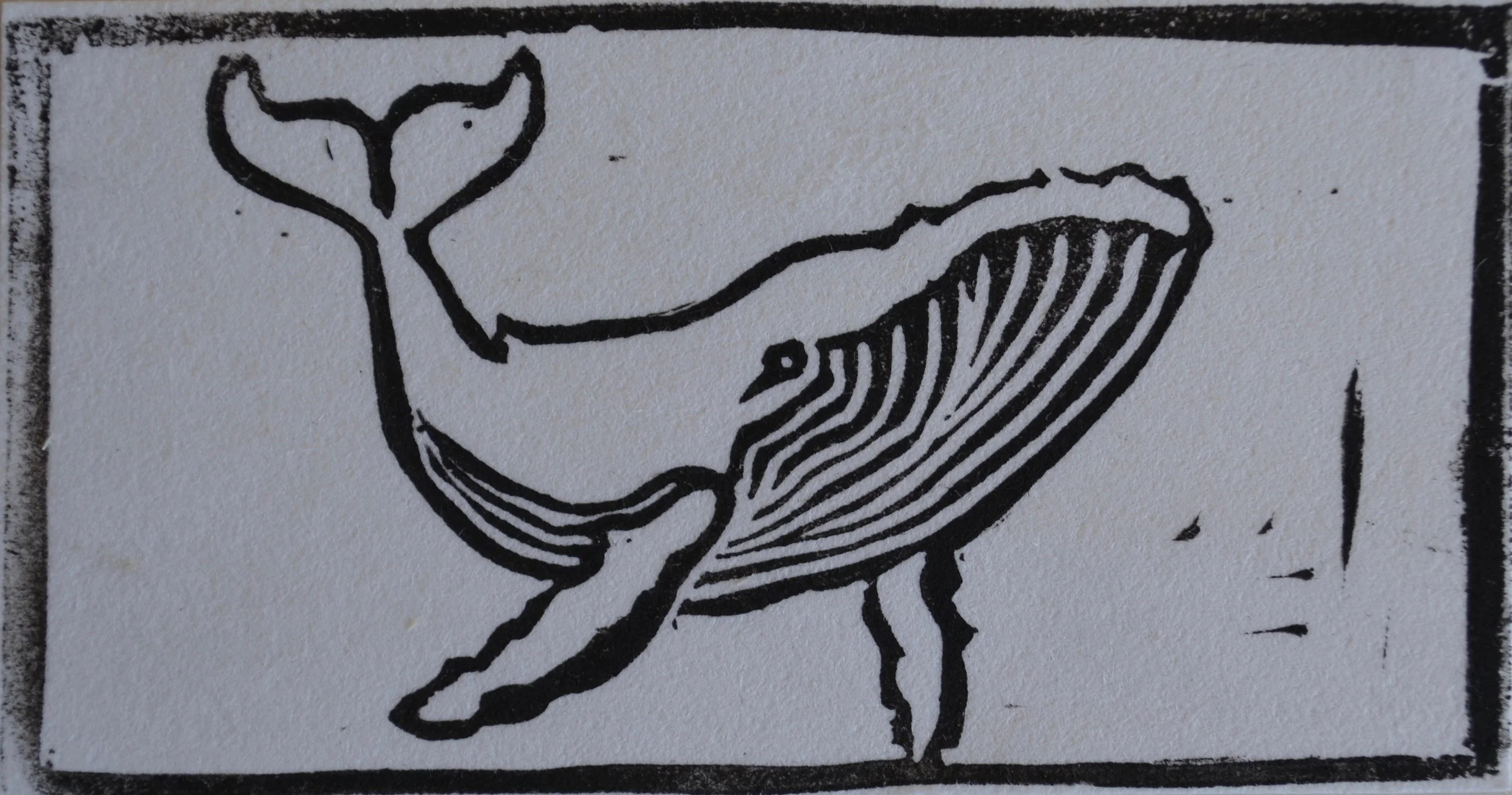 Whale