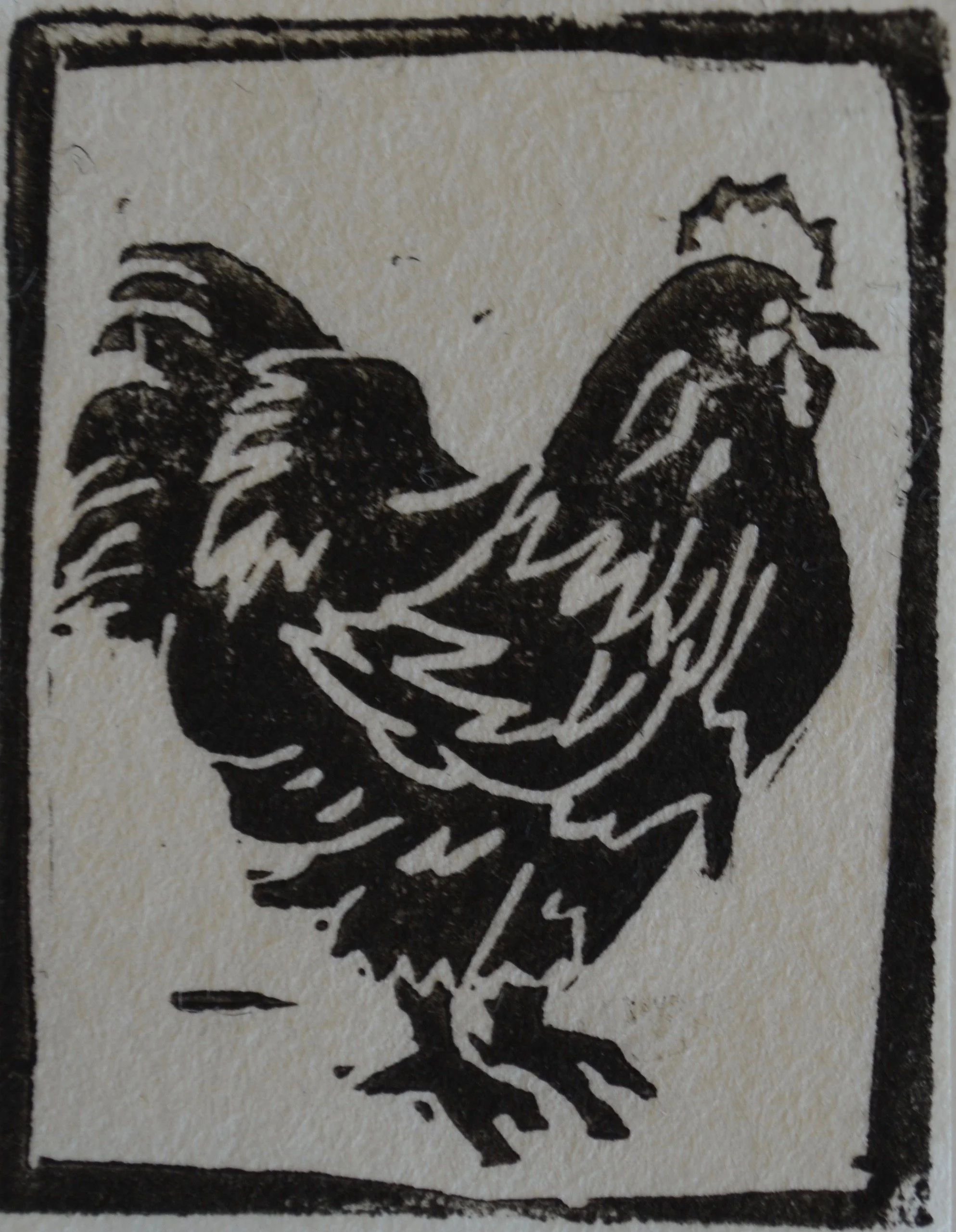 Chicken