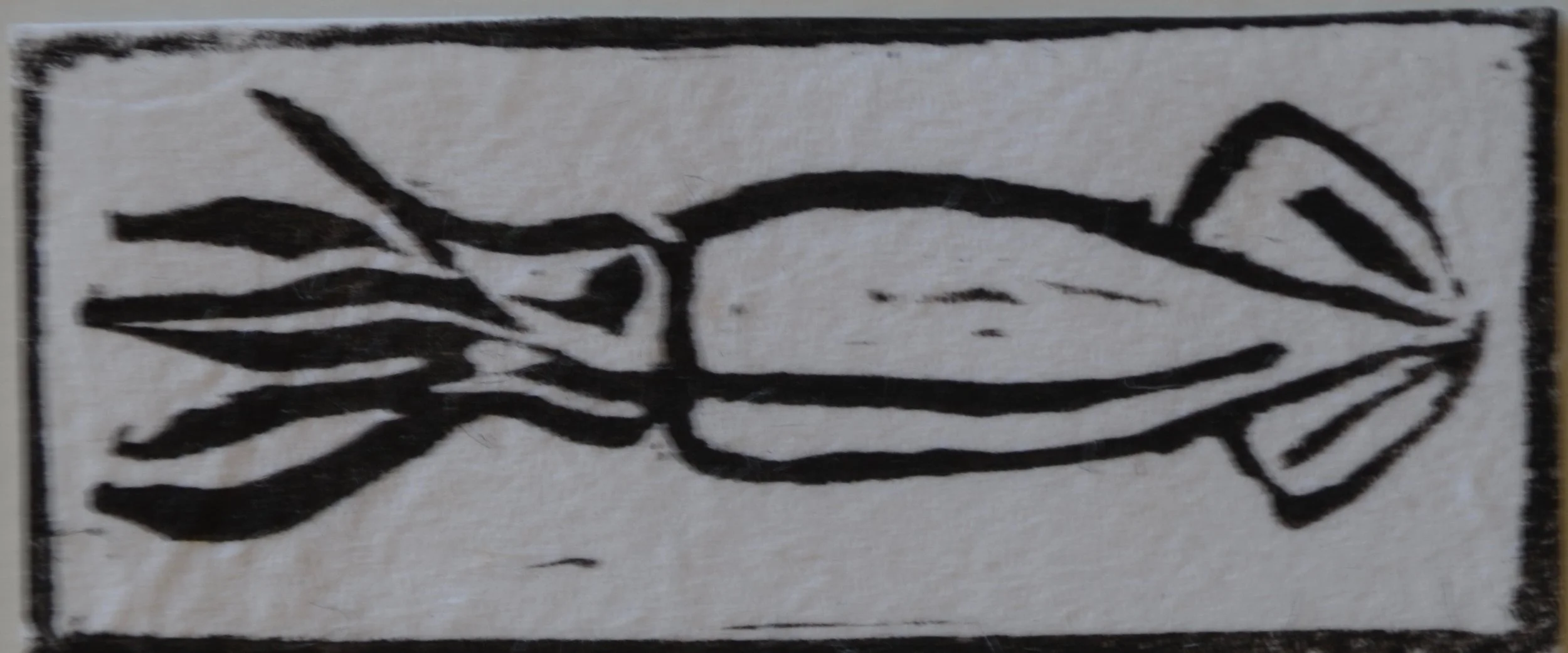 Squid