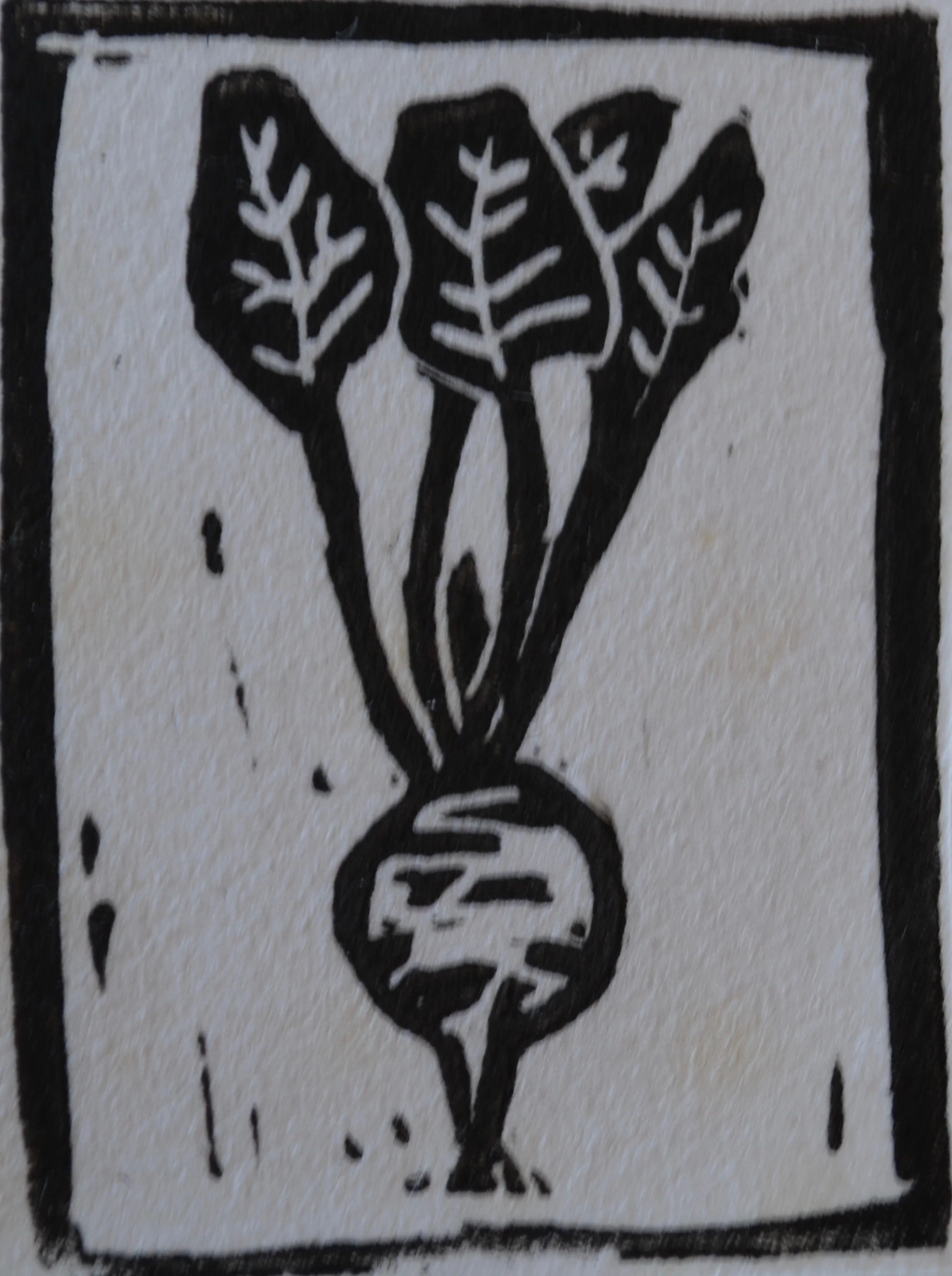 Beet