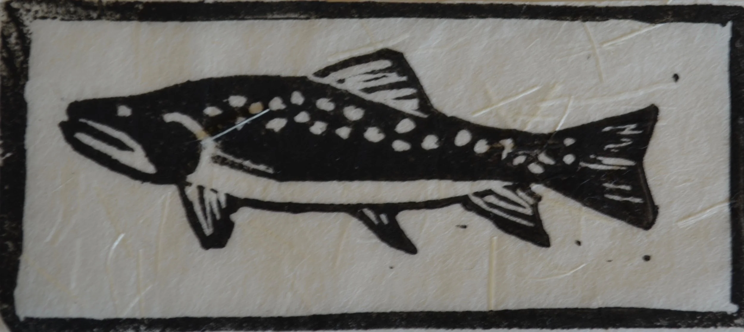 Fish II