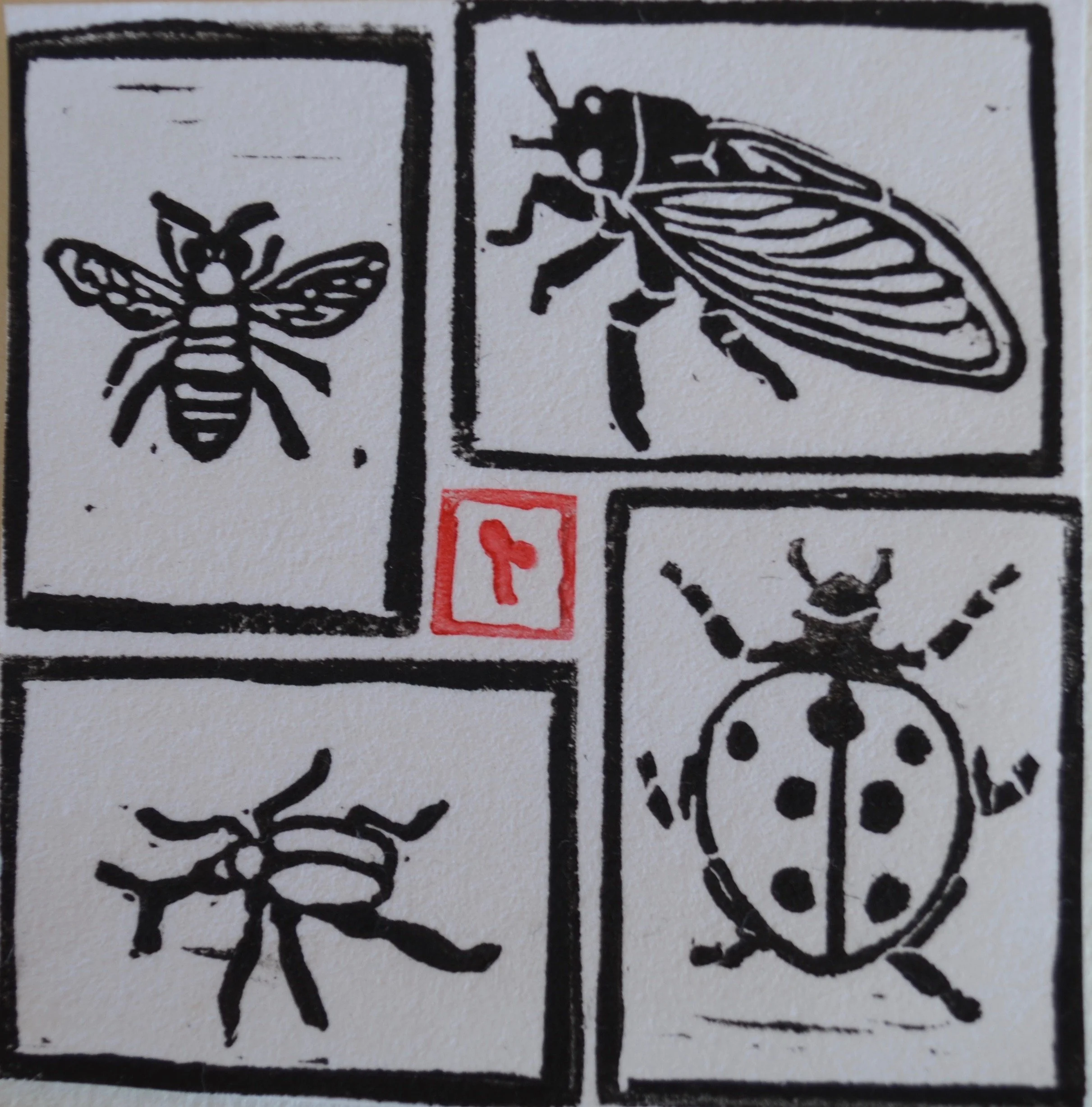 Insects