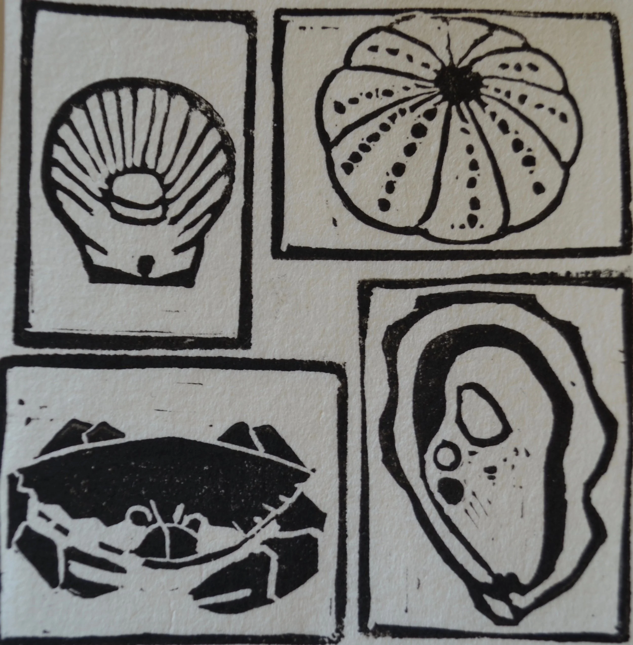 Sea Creatures