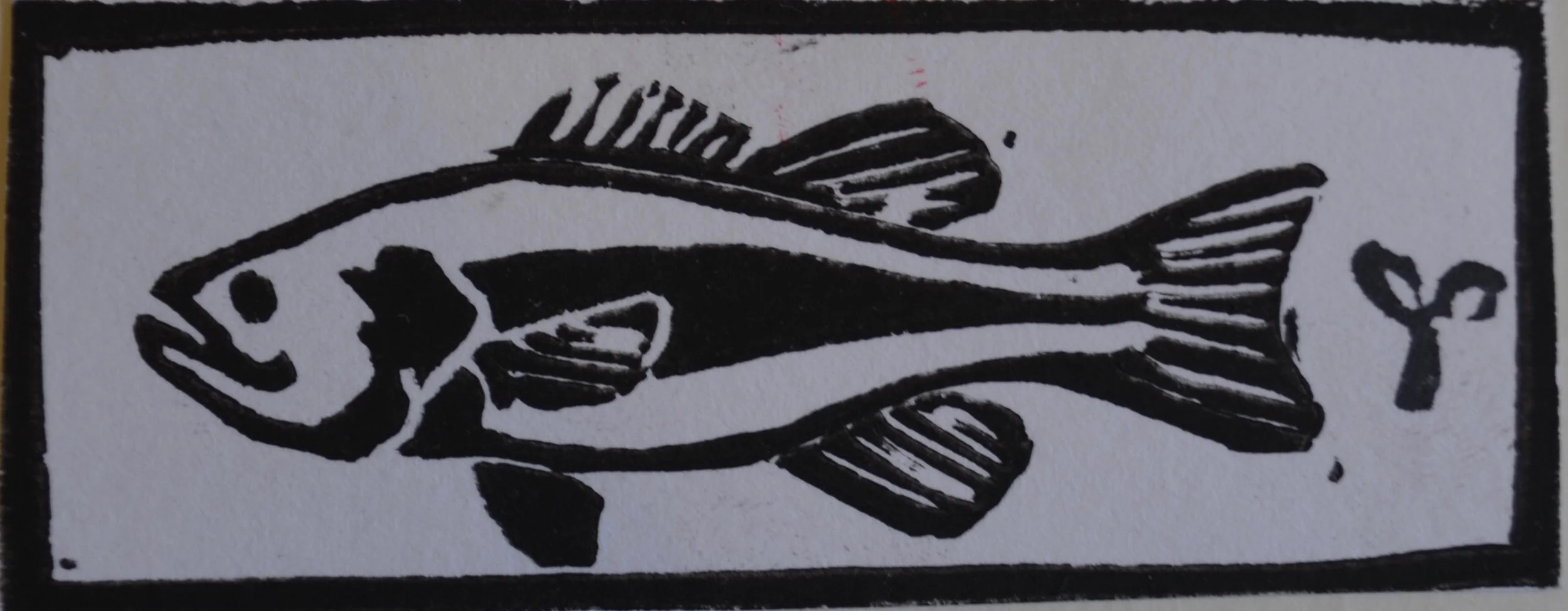 Fish IV