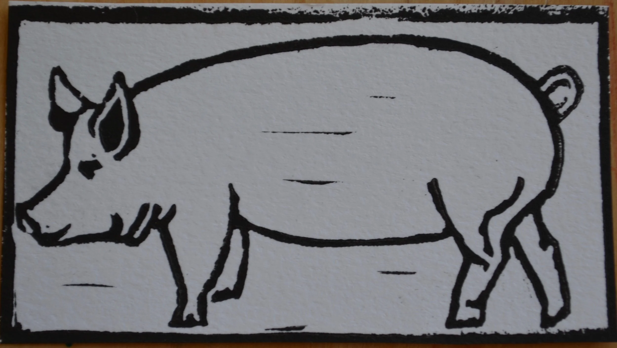 Pig