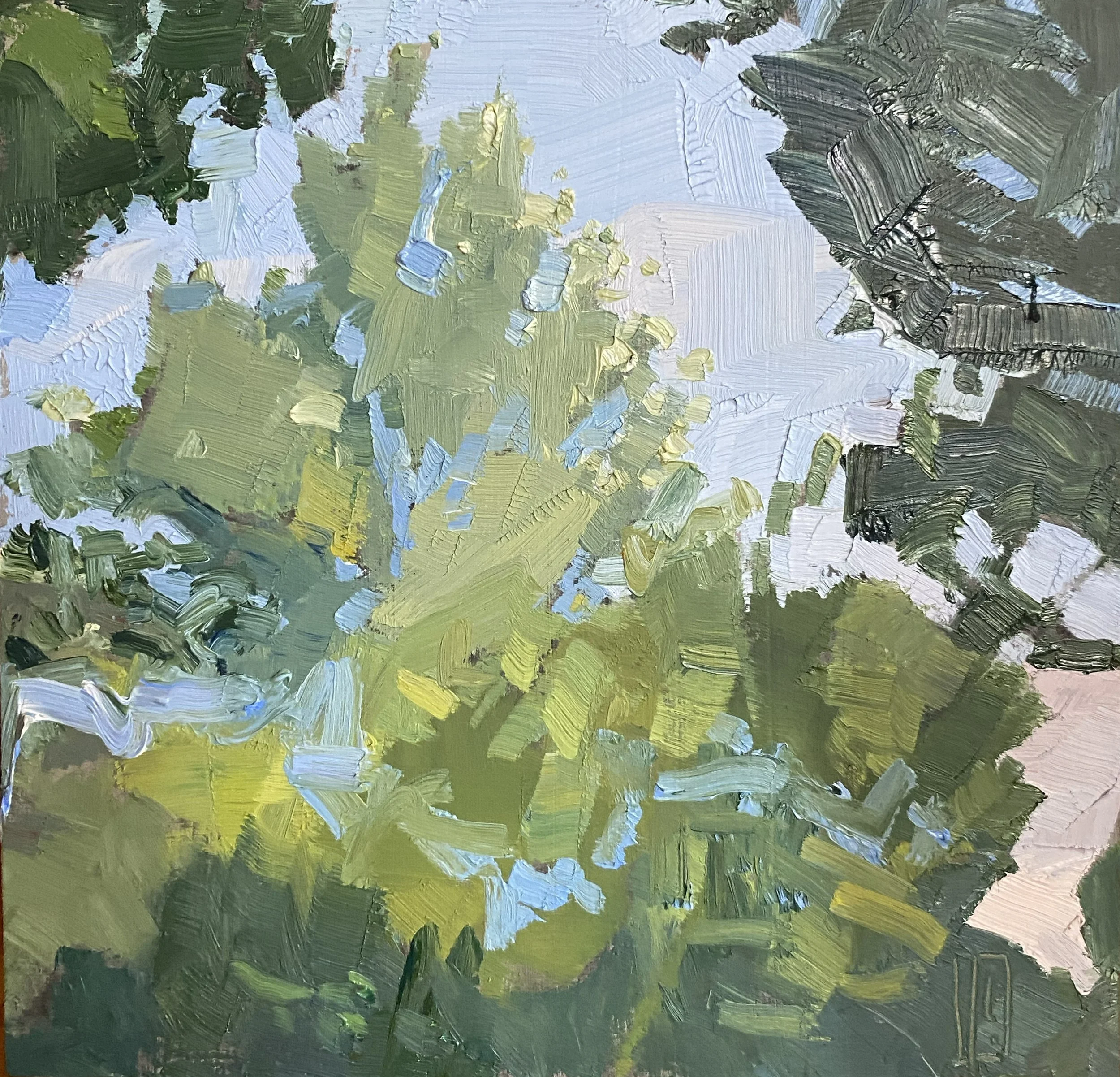 Treetops