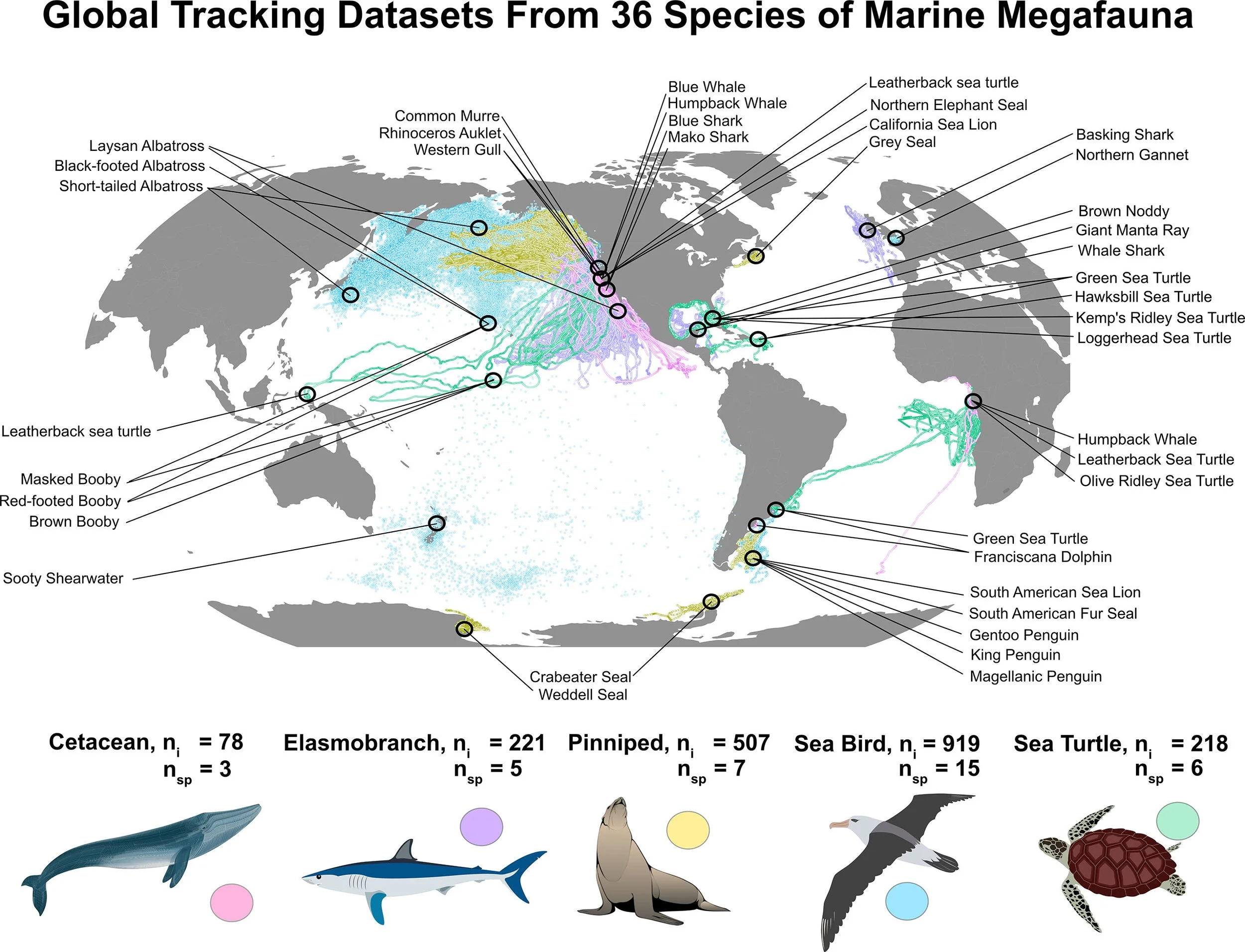Mismatches in scale between highly mobile marine megafauna and marine protected areas