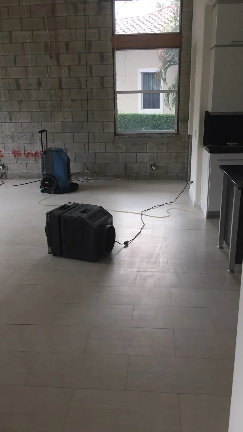 mold abatement service in weston home