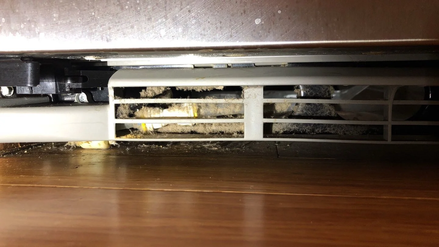 mold in dust- this is beneath refrigerator