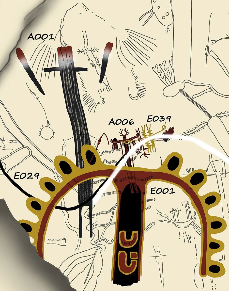 3.16 - Signs and Wonders