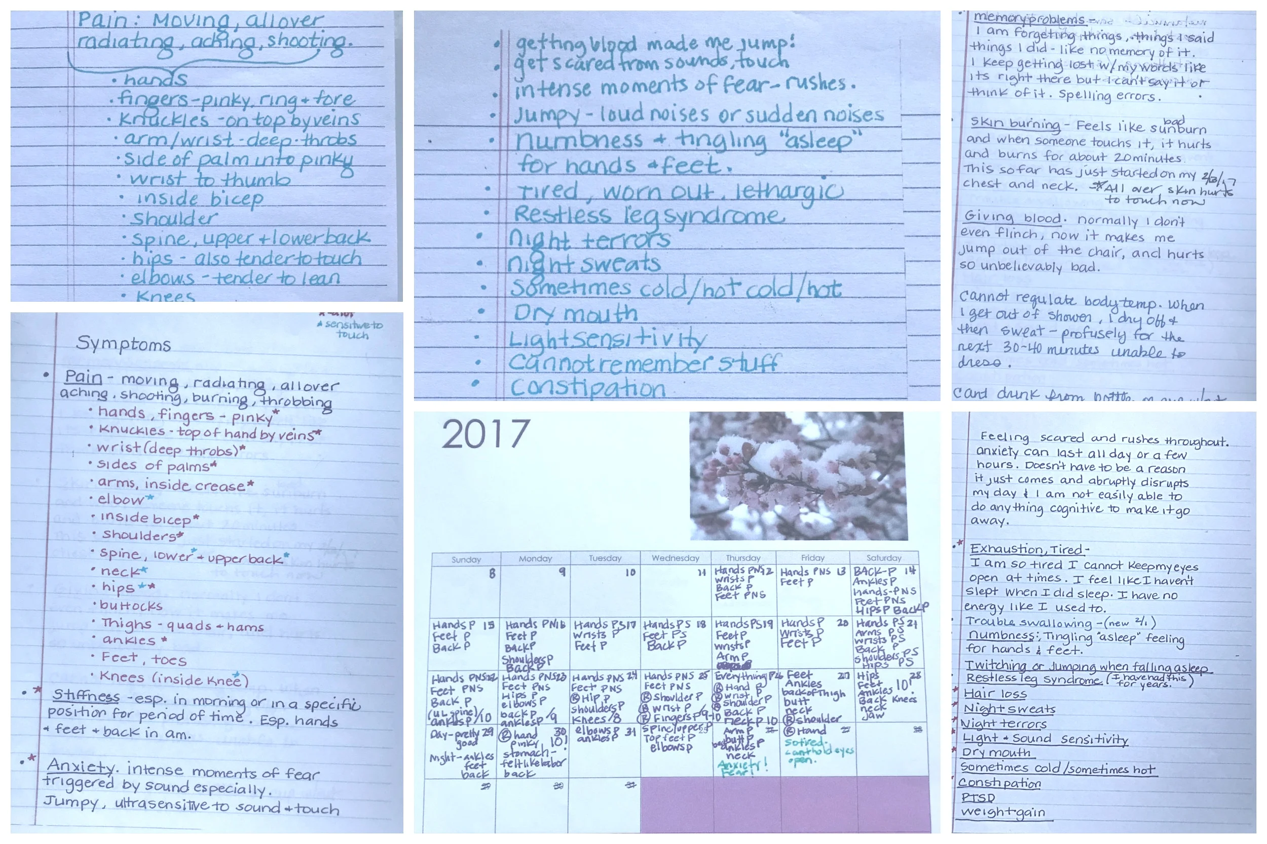 My actual diary and lists from late 2016 to January 2017