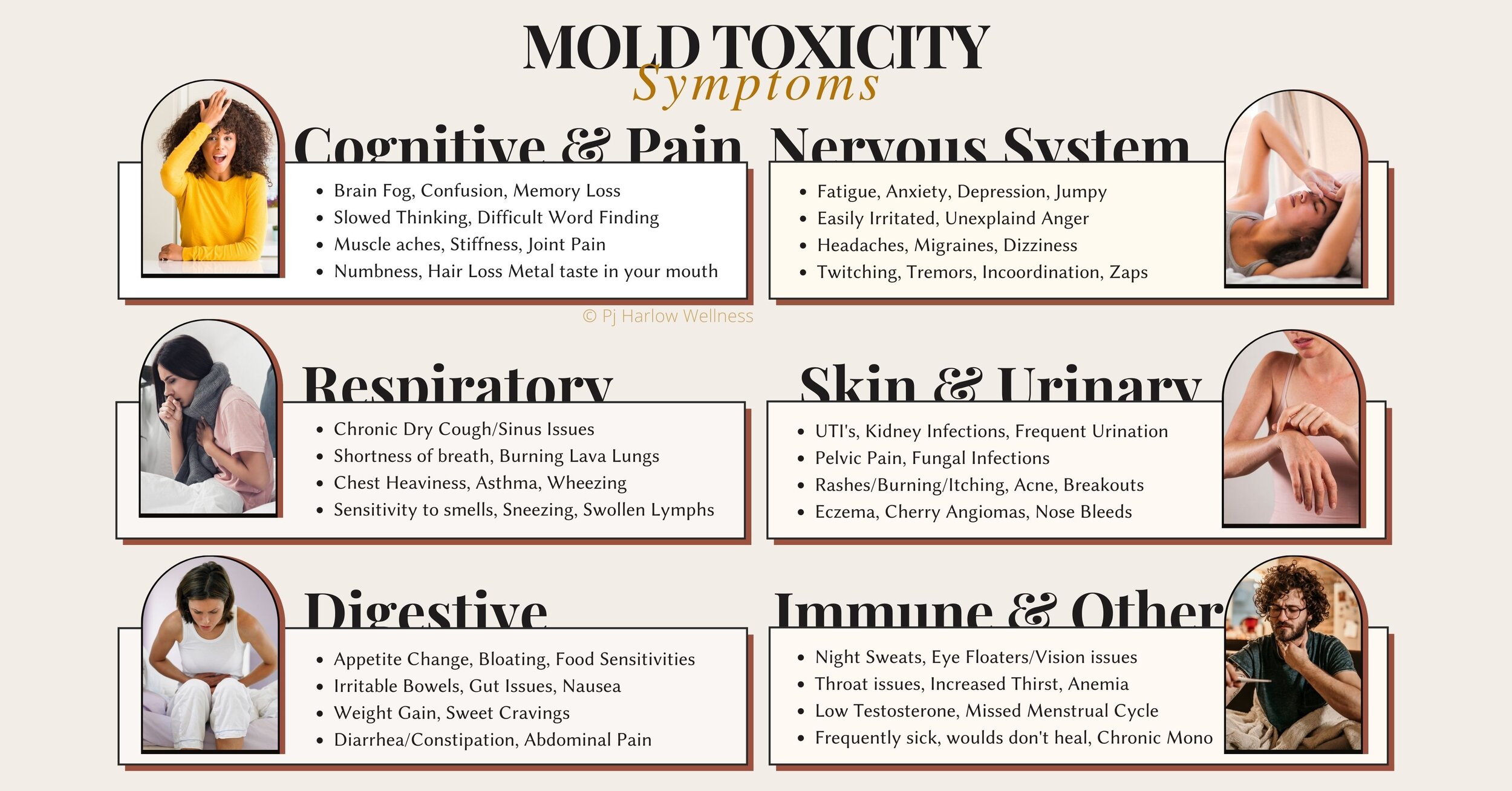 PJ Harlow Wellness Inc. — What Mold Toxicity feels like, from symptoms