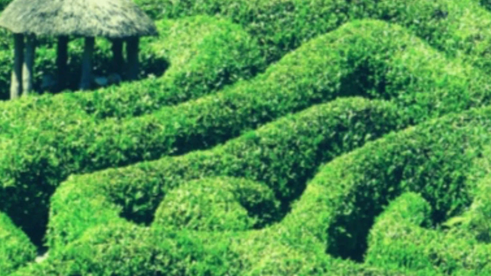 Your Eating Decision Maze (part 3): Name Your Walls