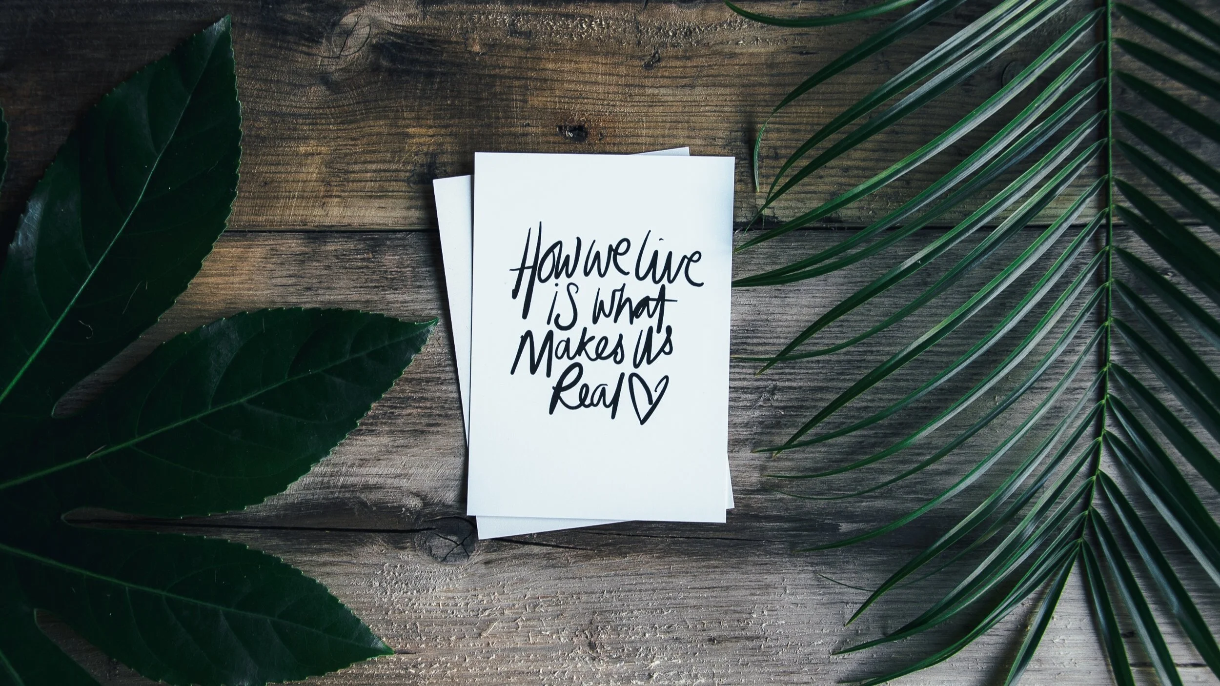 Plant-Based Challenge Day 1: Your Wellness Formula