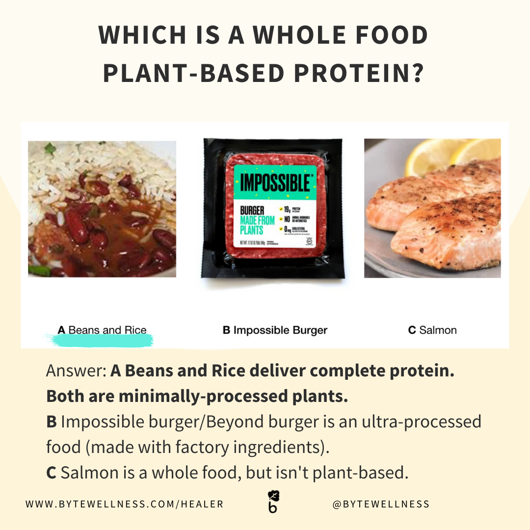 Byte Wellness Whole Food Plant Based Protein Answers.png