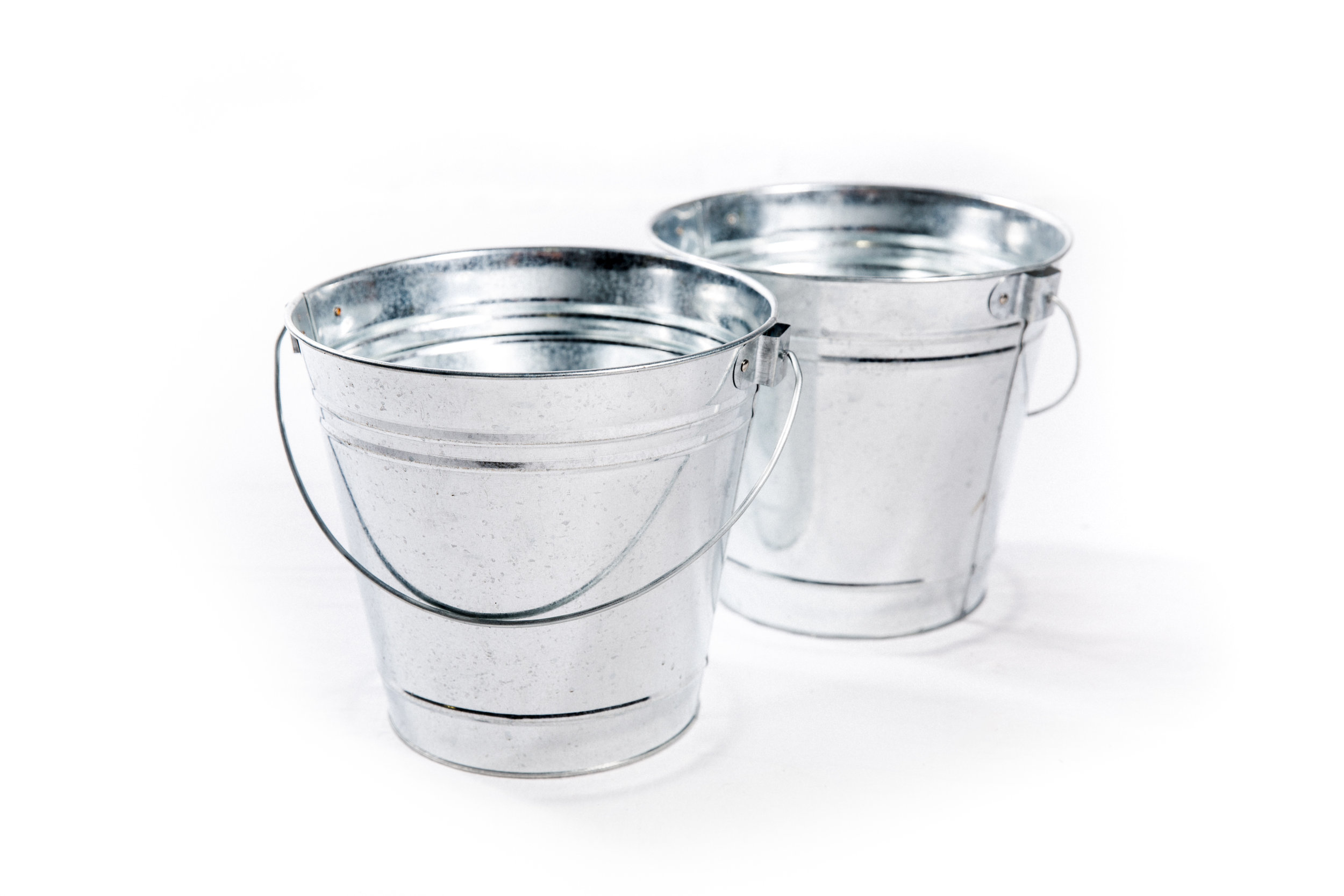 Birch and Bloom Tin Buckets-2.jpg