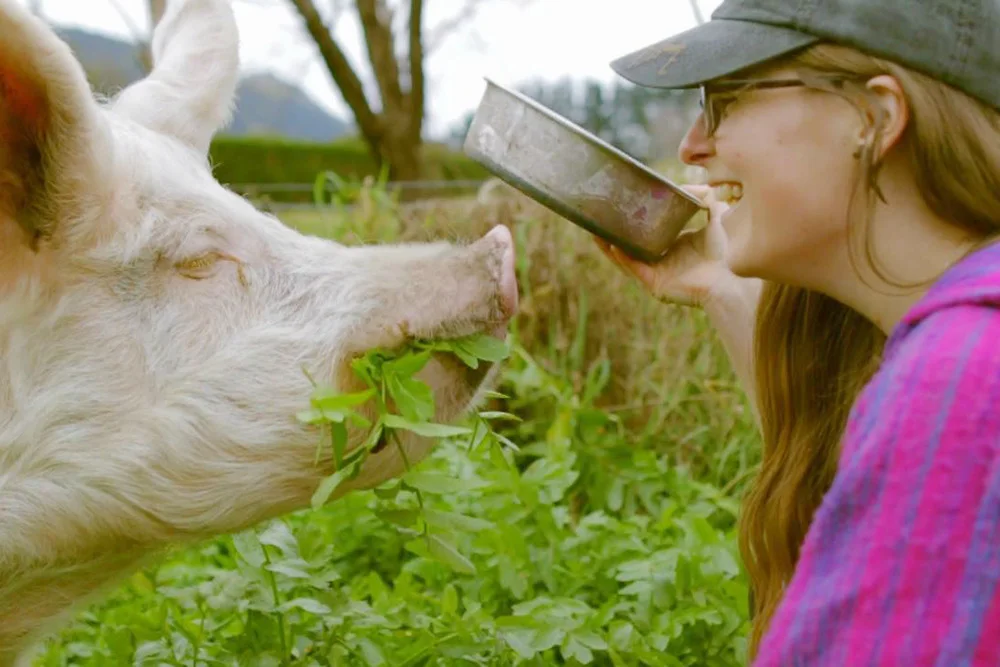 WEDDING VIDEOGRAPHER WITH SOUL