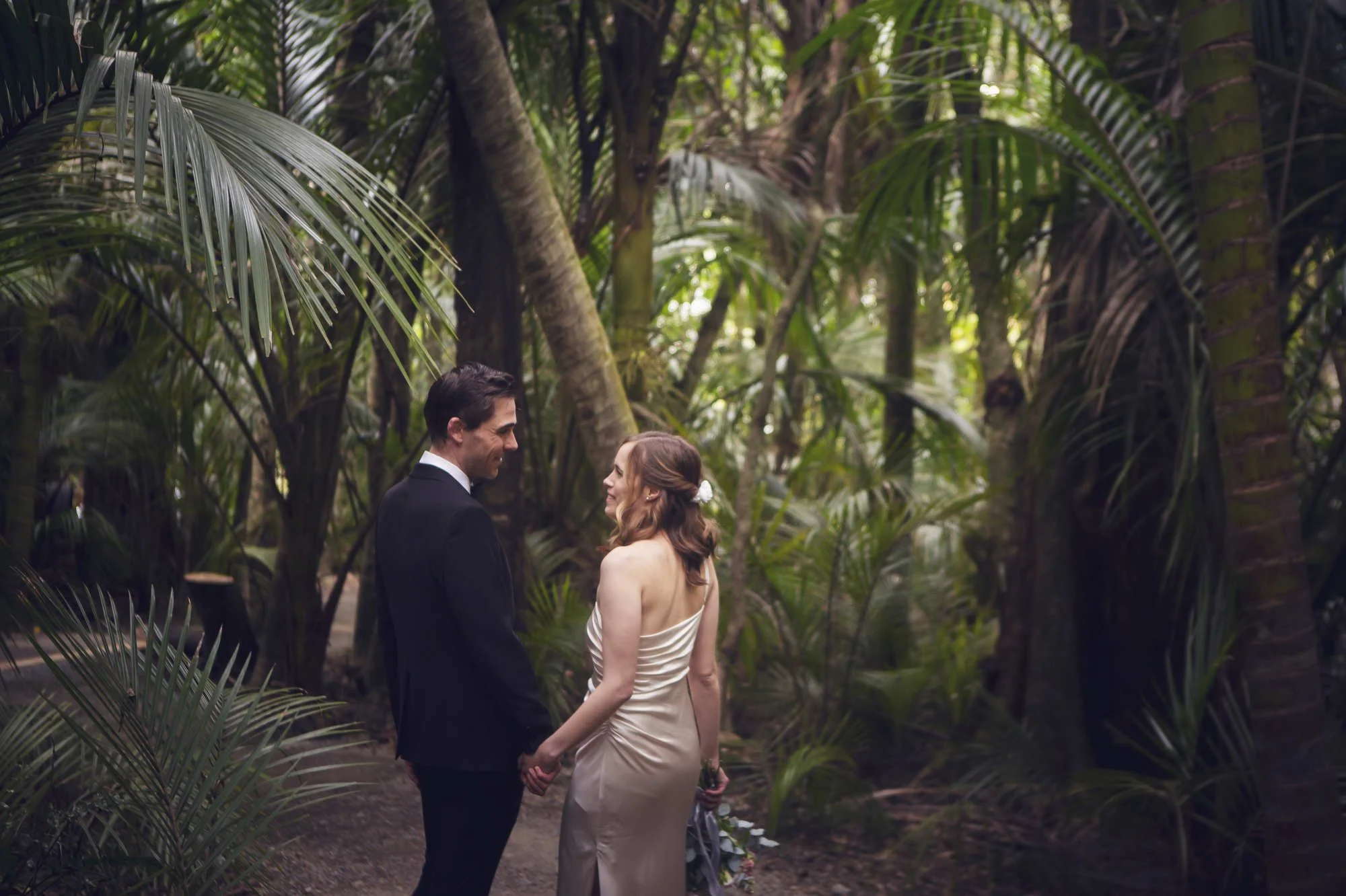 Nikau forest.JPG