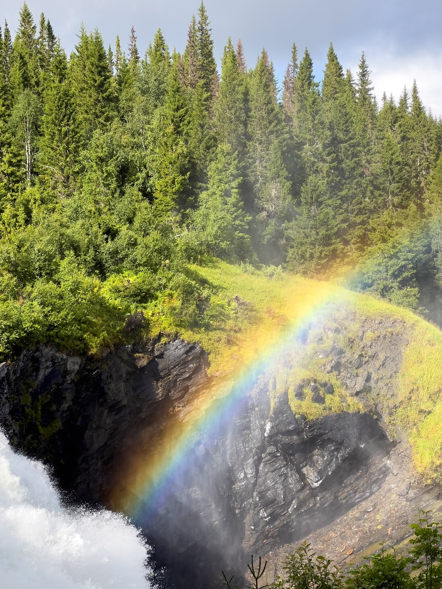 🌈🌲💧✨🇸🇪