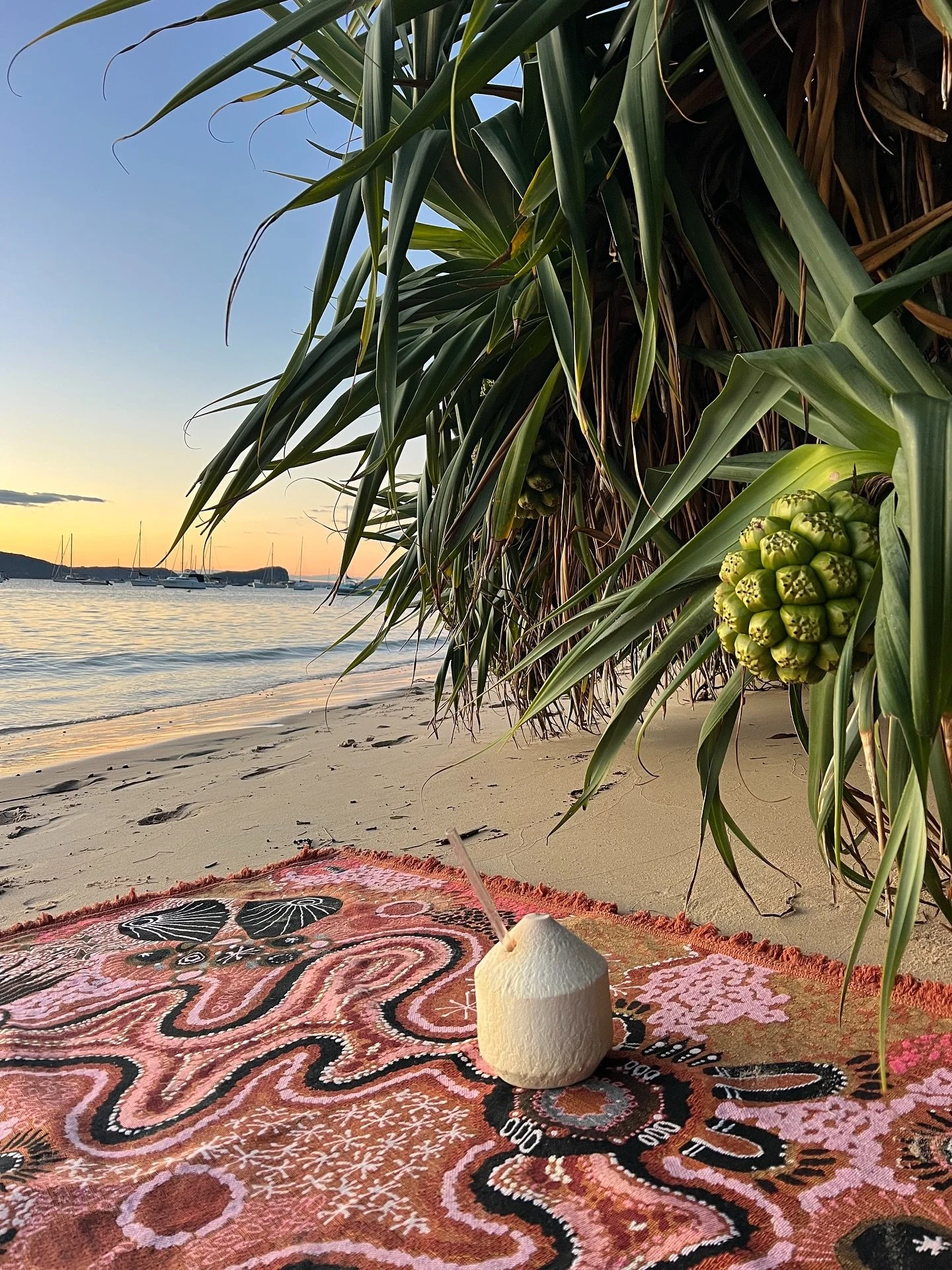 home 🌎🫶🏼🫵🏼