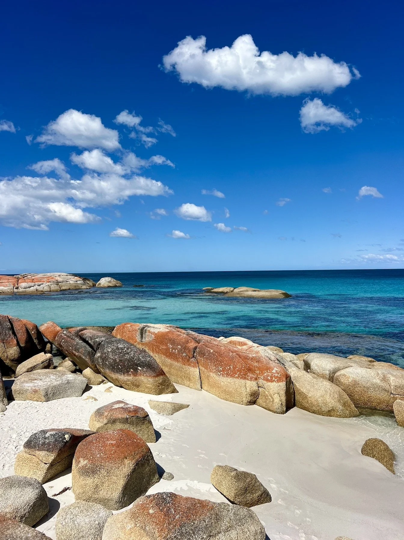 Screenshot 2026-01-28 at 1.02.38 pm.JPG