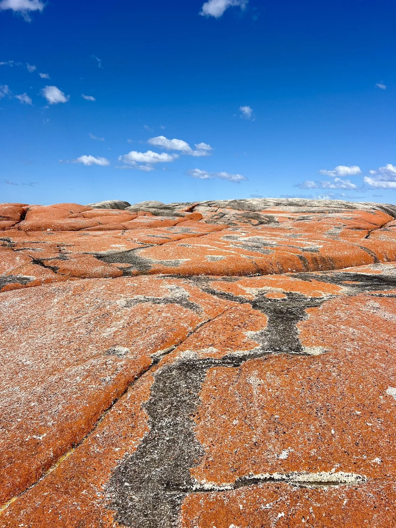 Screenshot 2026-01-28 at 1.03.57 pm.JPG