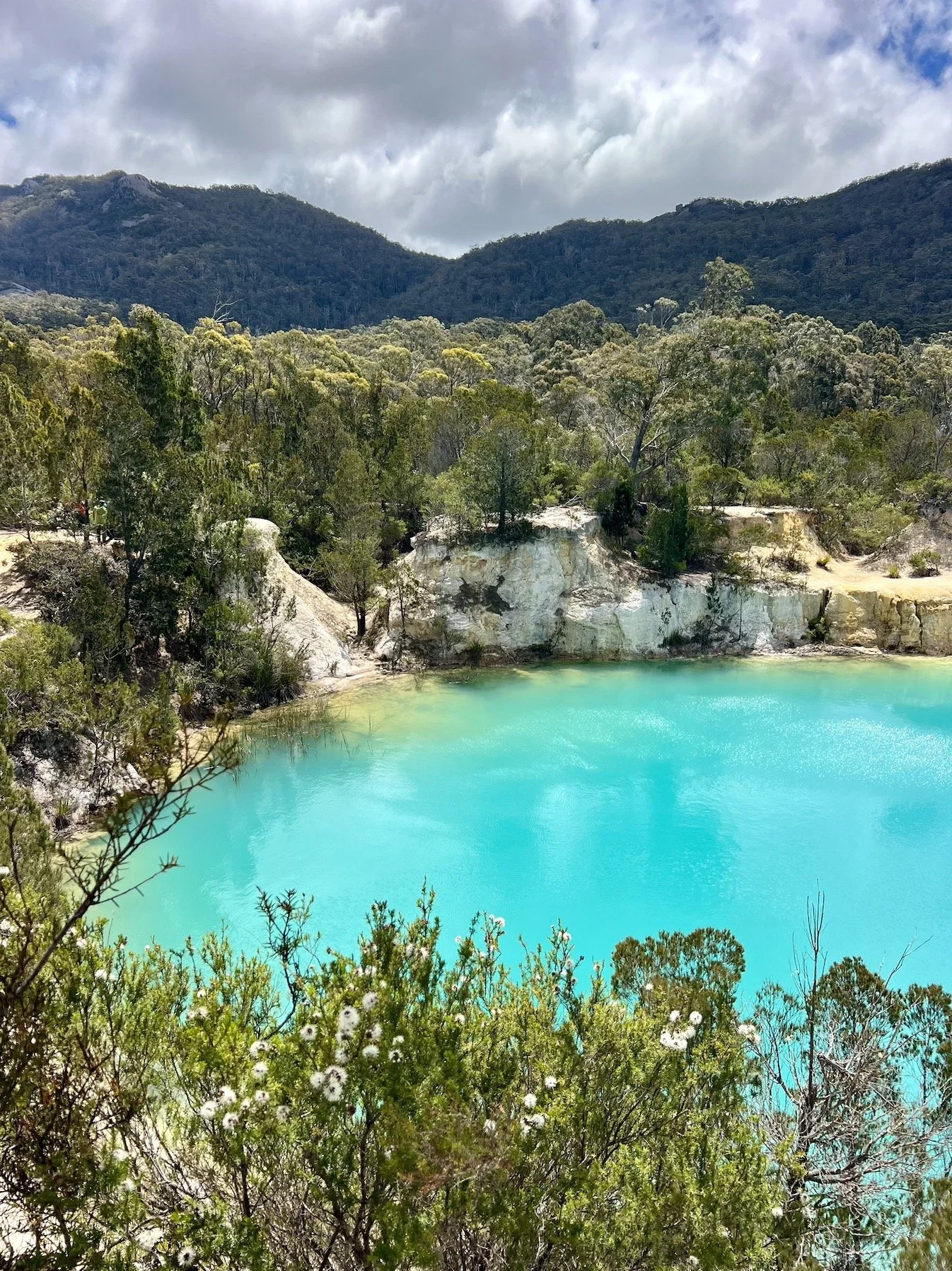 Screenshot 2026-01-28 at 1.04.10 pm.JPG