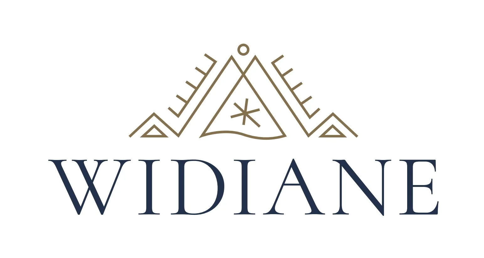 62e2c82897ba4a75546463eb_Widiane 1.jpg