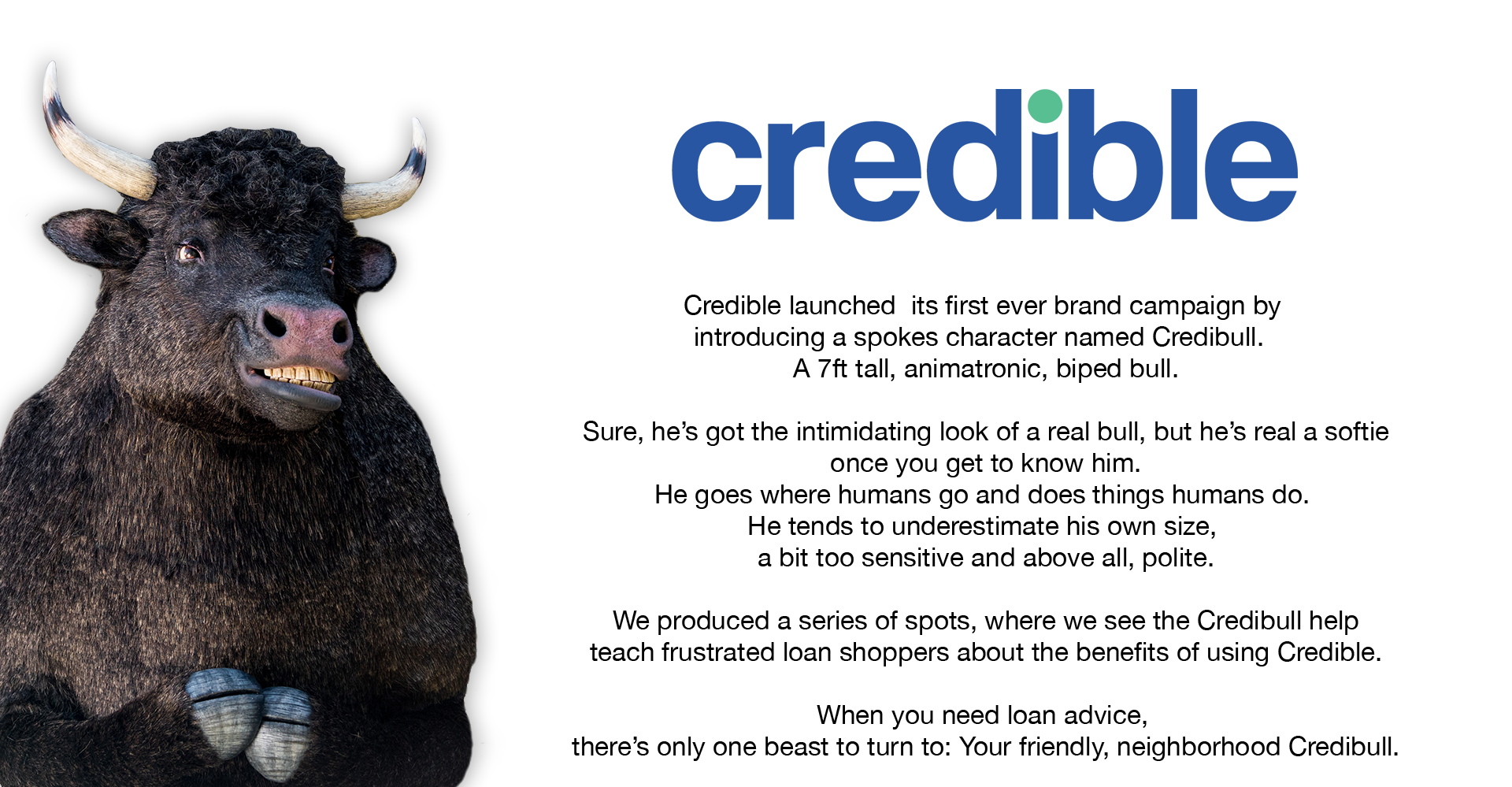 bull header.png
