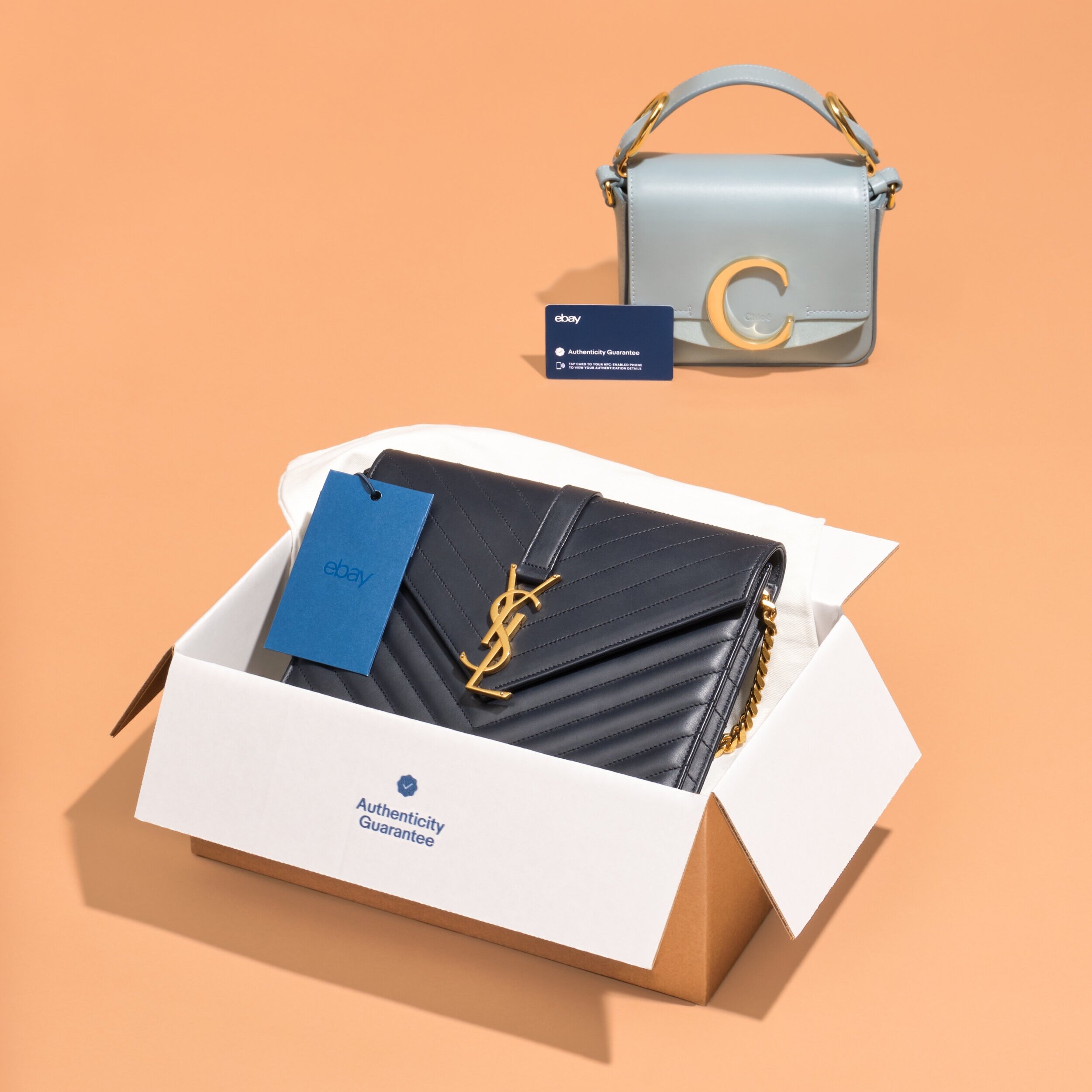 210521_eBay_Handbag_Shoot_AG_Packaging_1_047_v2.jpg