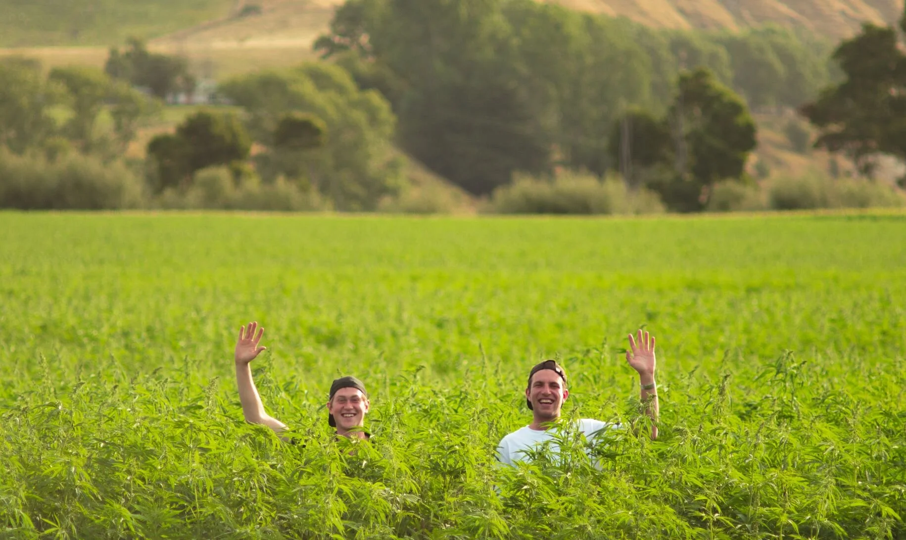 5I6A6261 resized for web.jpg