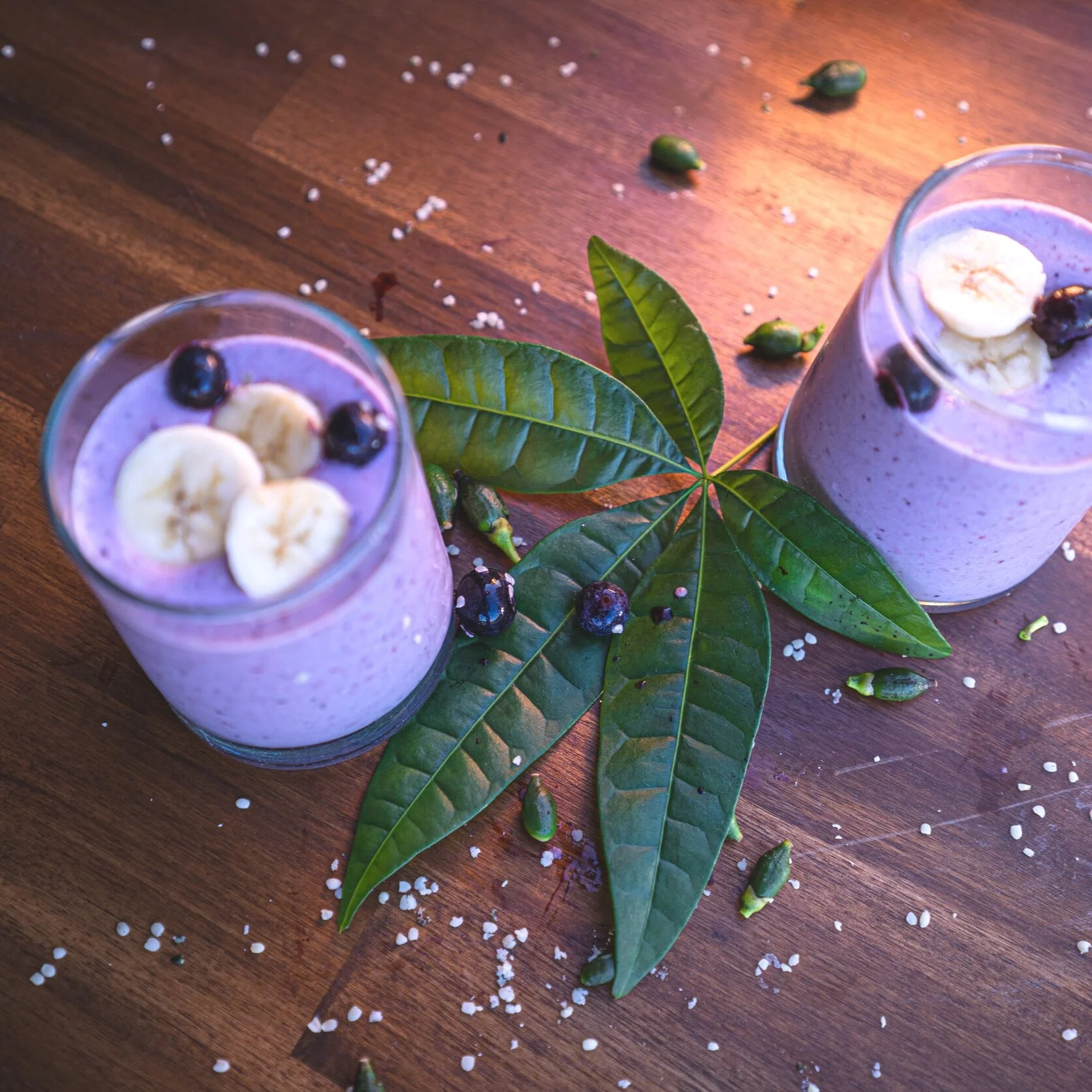 Iso Hemp Super Smoothie