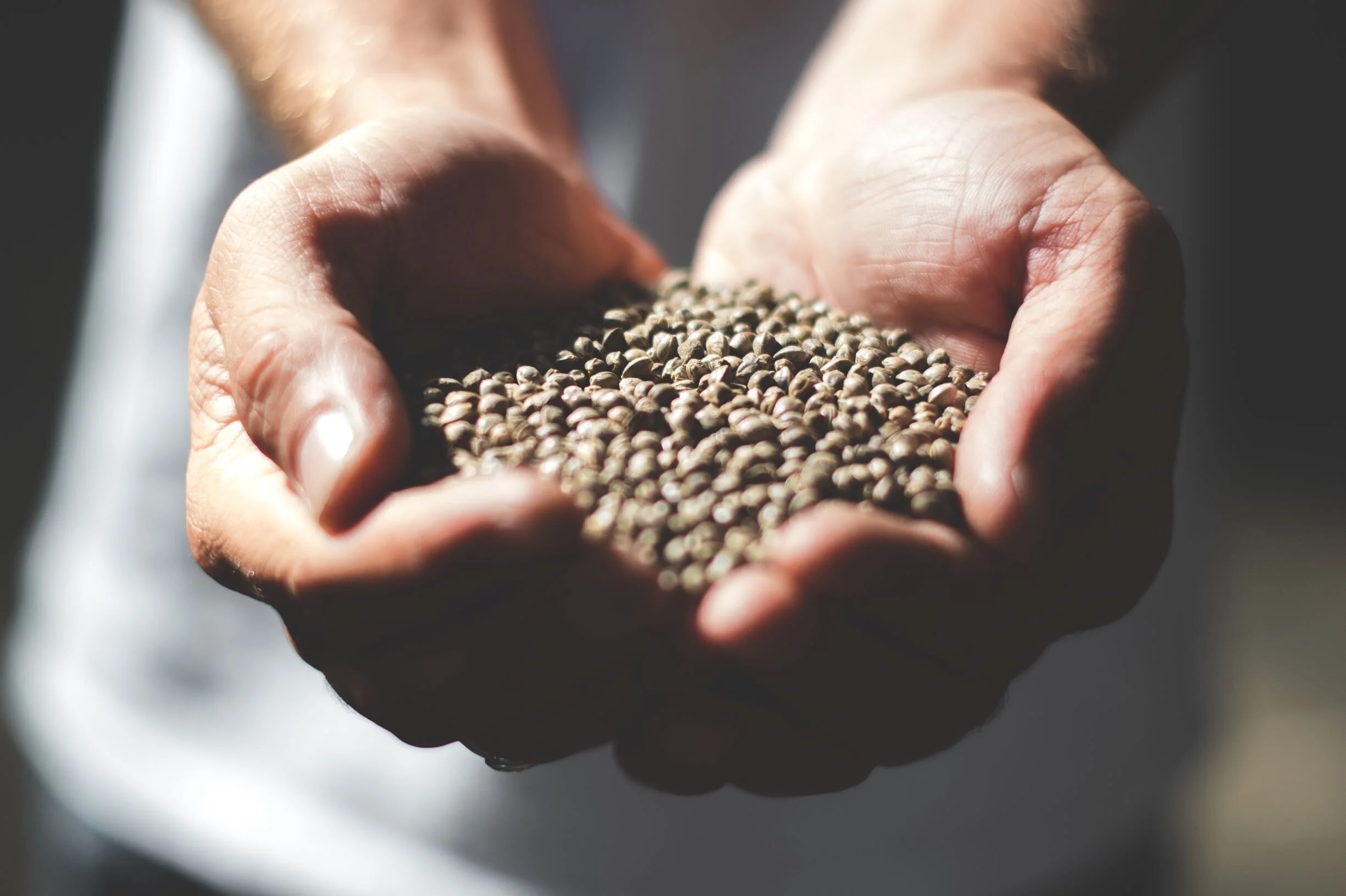 Hemp: A Plant Protein