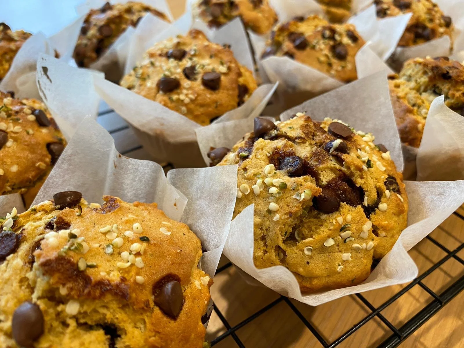 hemp-connect-pumpkin-hemp-chocolate-chip-muffins.jpeg