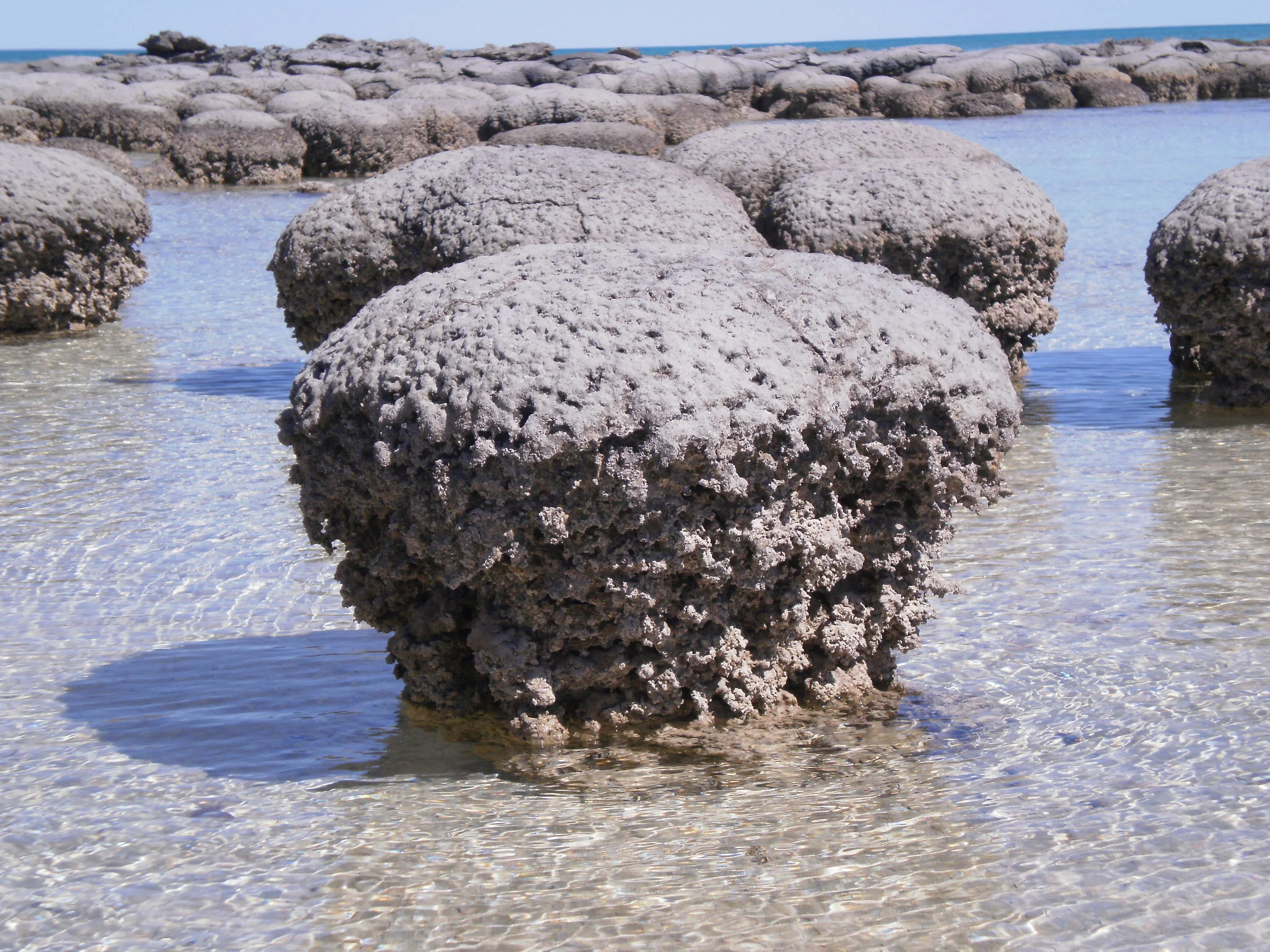 Asgard archaea in modern microbial mats