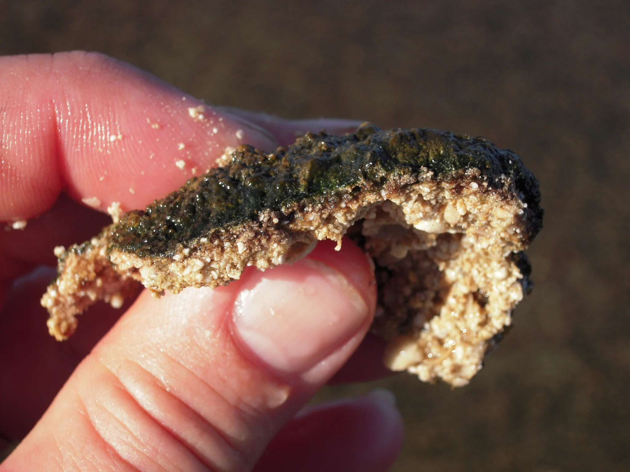 Biosynthetic gene clusters and natural product discovery