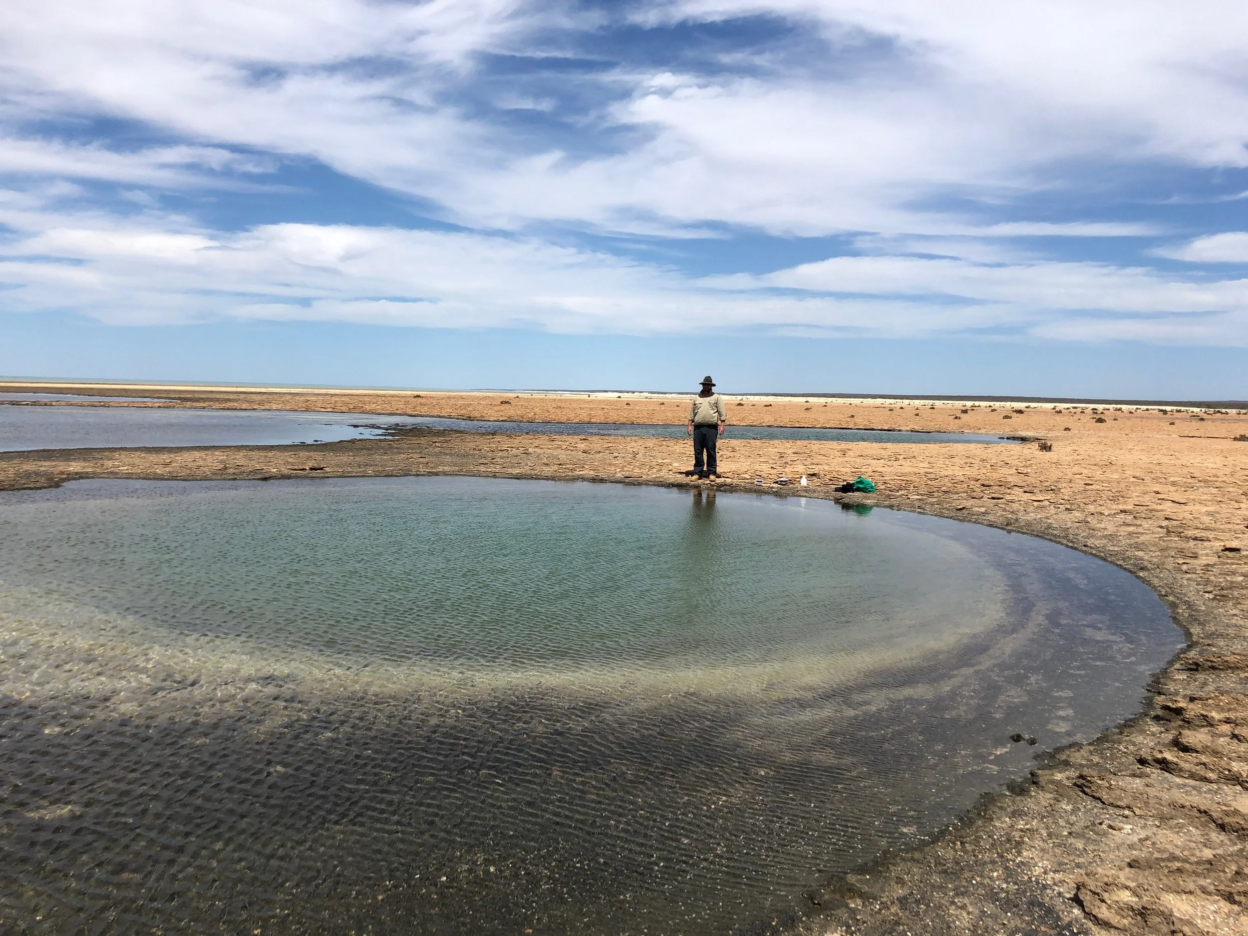 Novel phototrophy potential in microbial mats