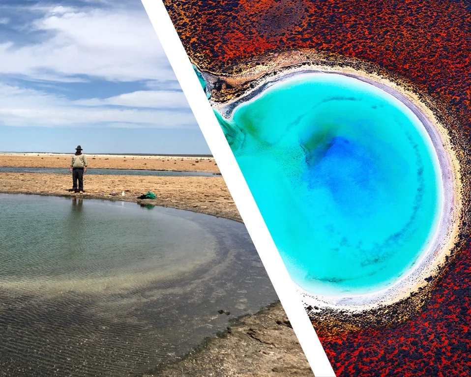 Changing Climate Threatens Shark Bay