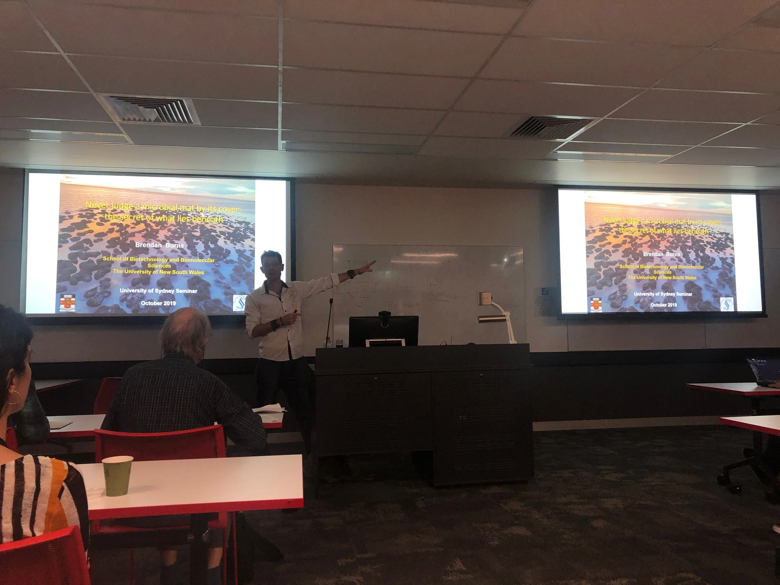 Never Judge a Microbial Mat by its Cover