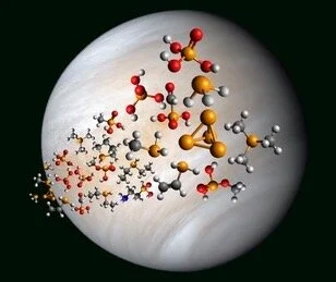 Phosphorus as a Potential Biosignature