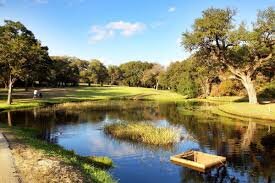 Scotty Sayers On Saving Lions Municipal