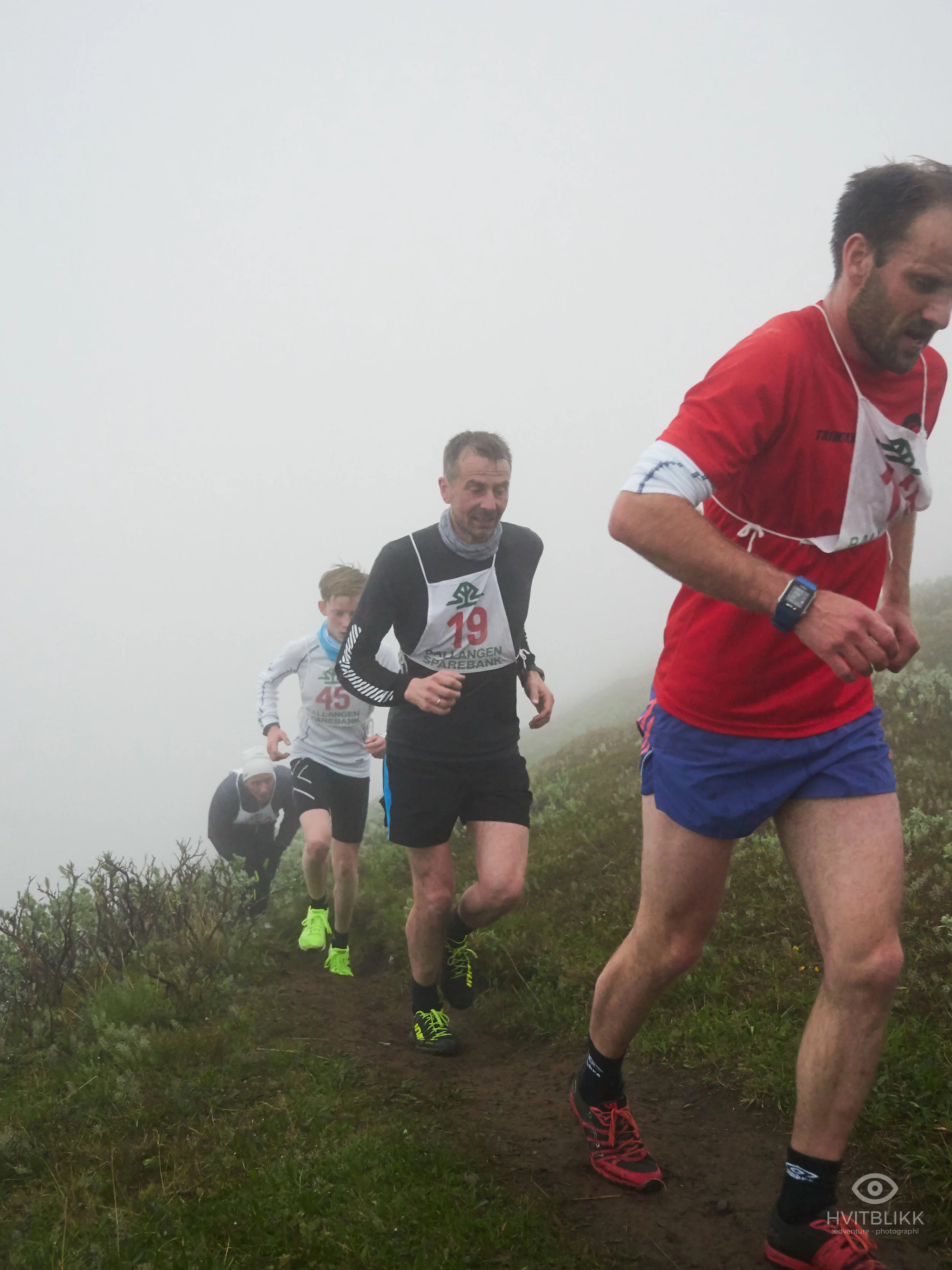 HåfjelltuvaOpp_TimmeEllingjord-Hvitblikk_jun 25 2018 3.jpg