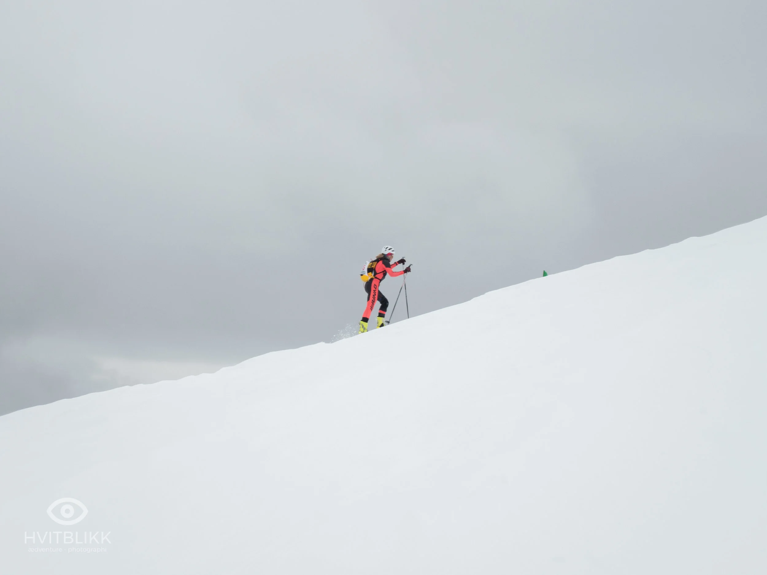 Ellingjord-Hvitblikk20190413__7590.jpg