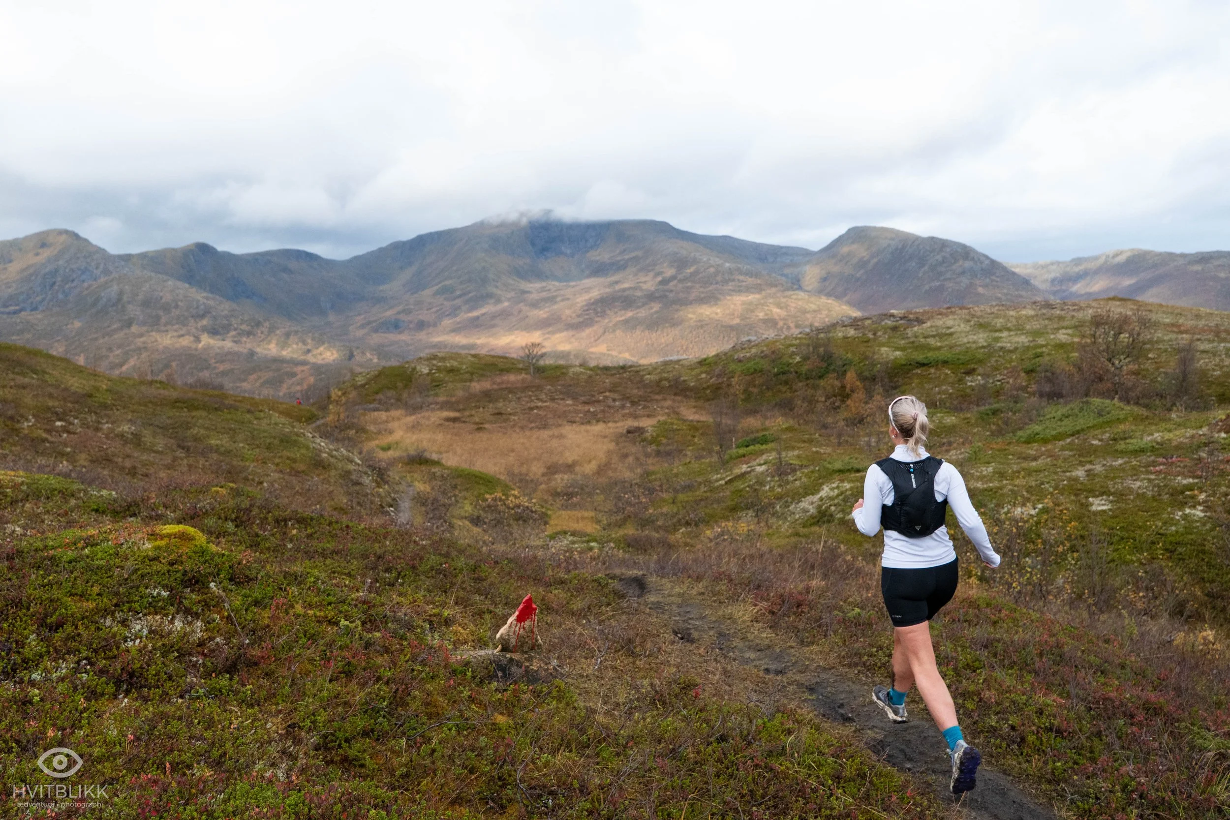 Ellingjord-Hvitblikk_20260926NOR176254.jpg