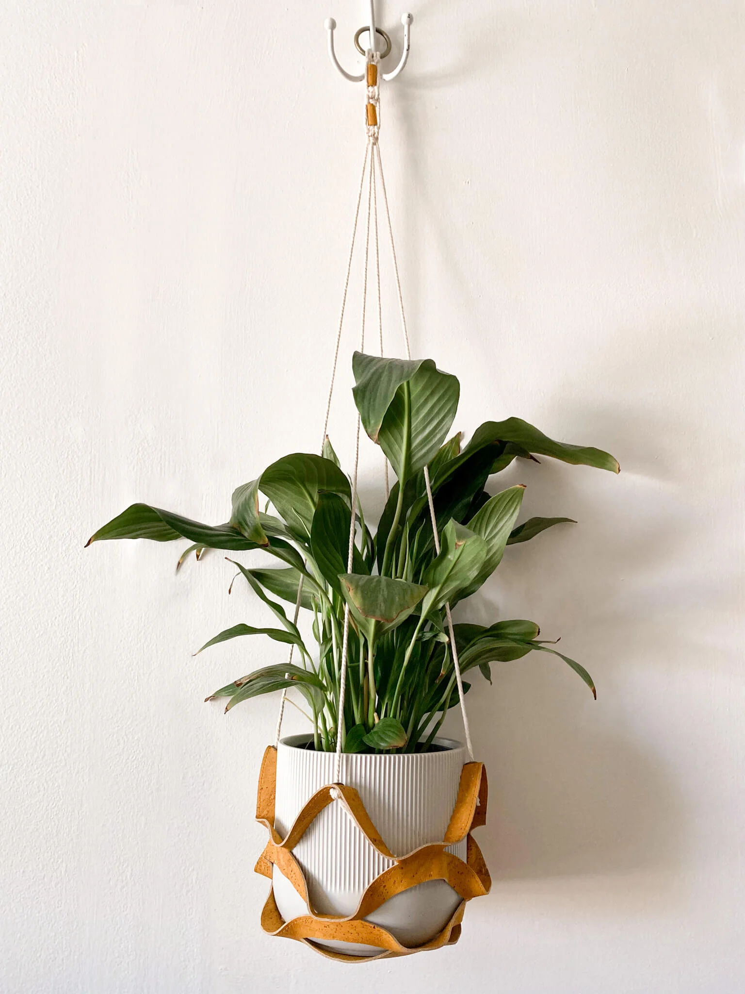 Cork Plant Hanger by Yabisí