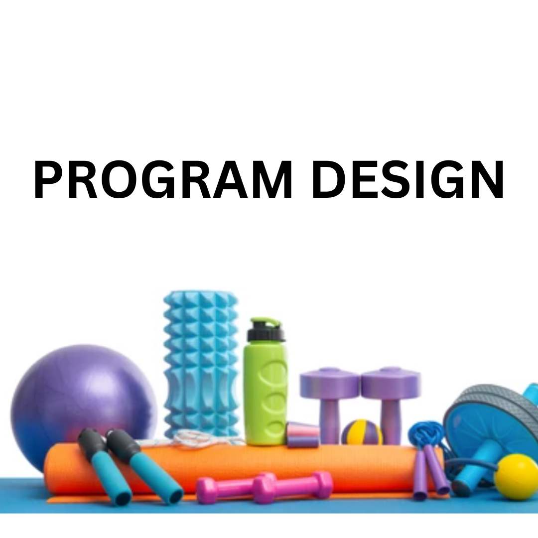 PROGRAM DESIGN.png