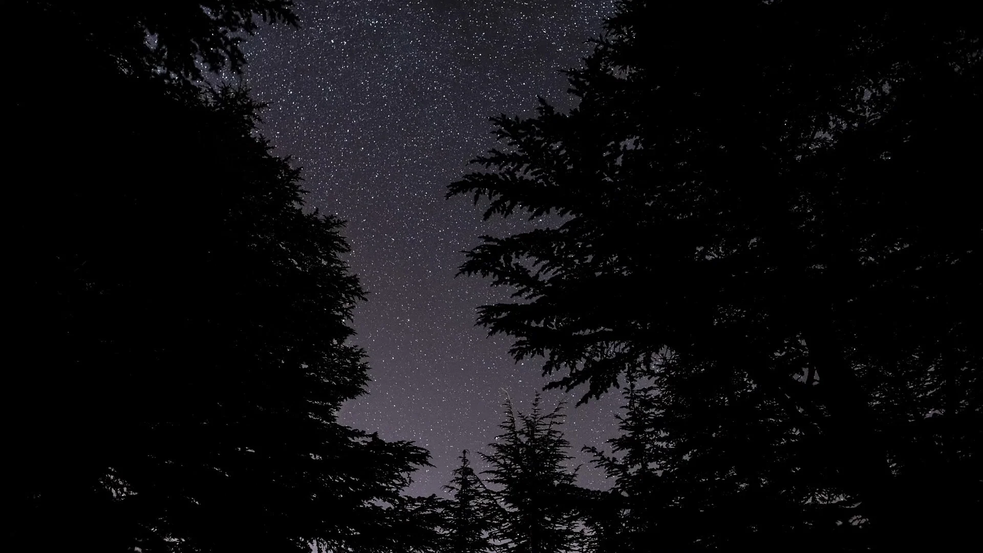 COS UTSS visualizer.00_00_00_00.Still001.jpg