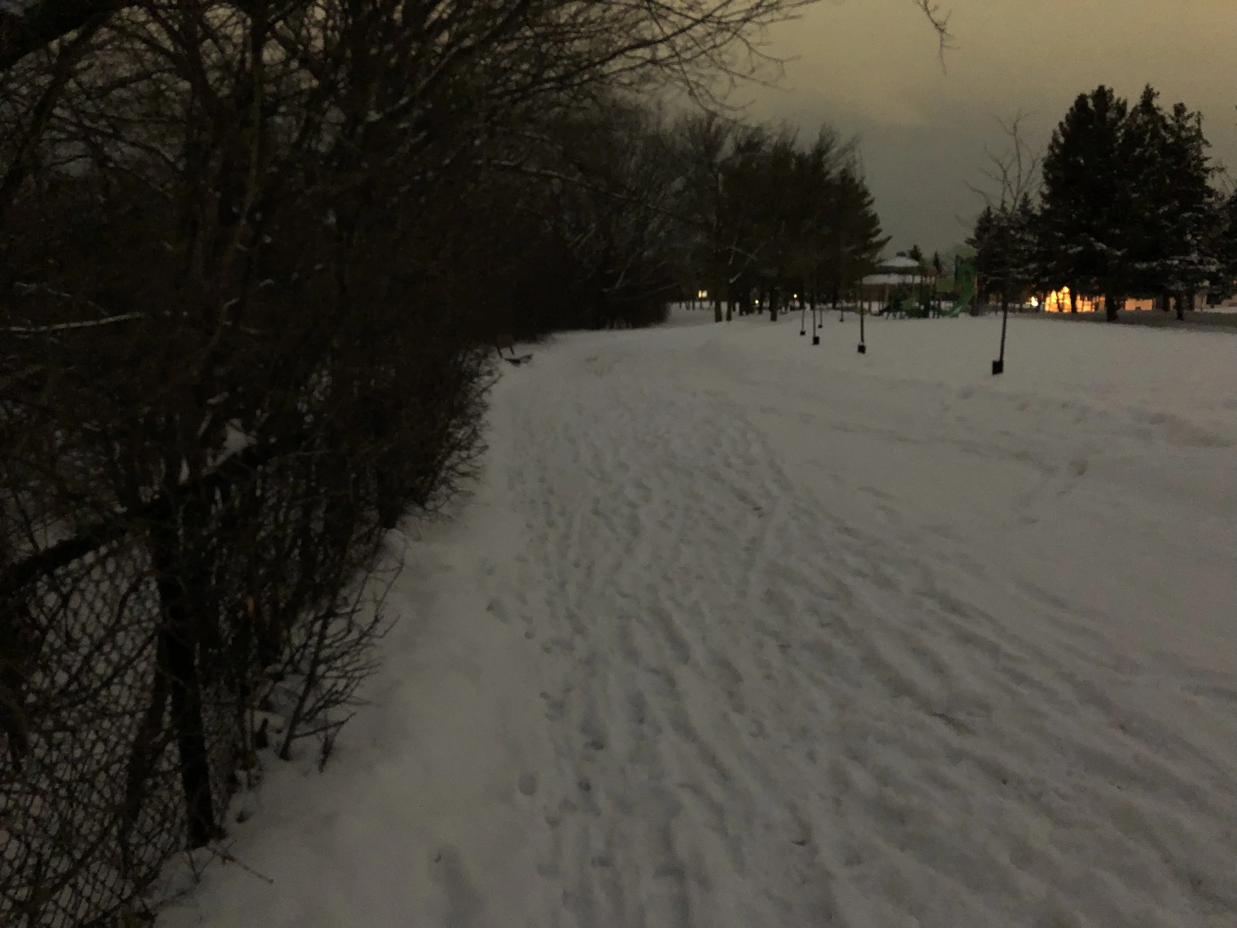 IMG_1008.jpeg
