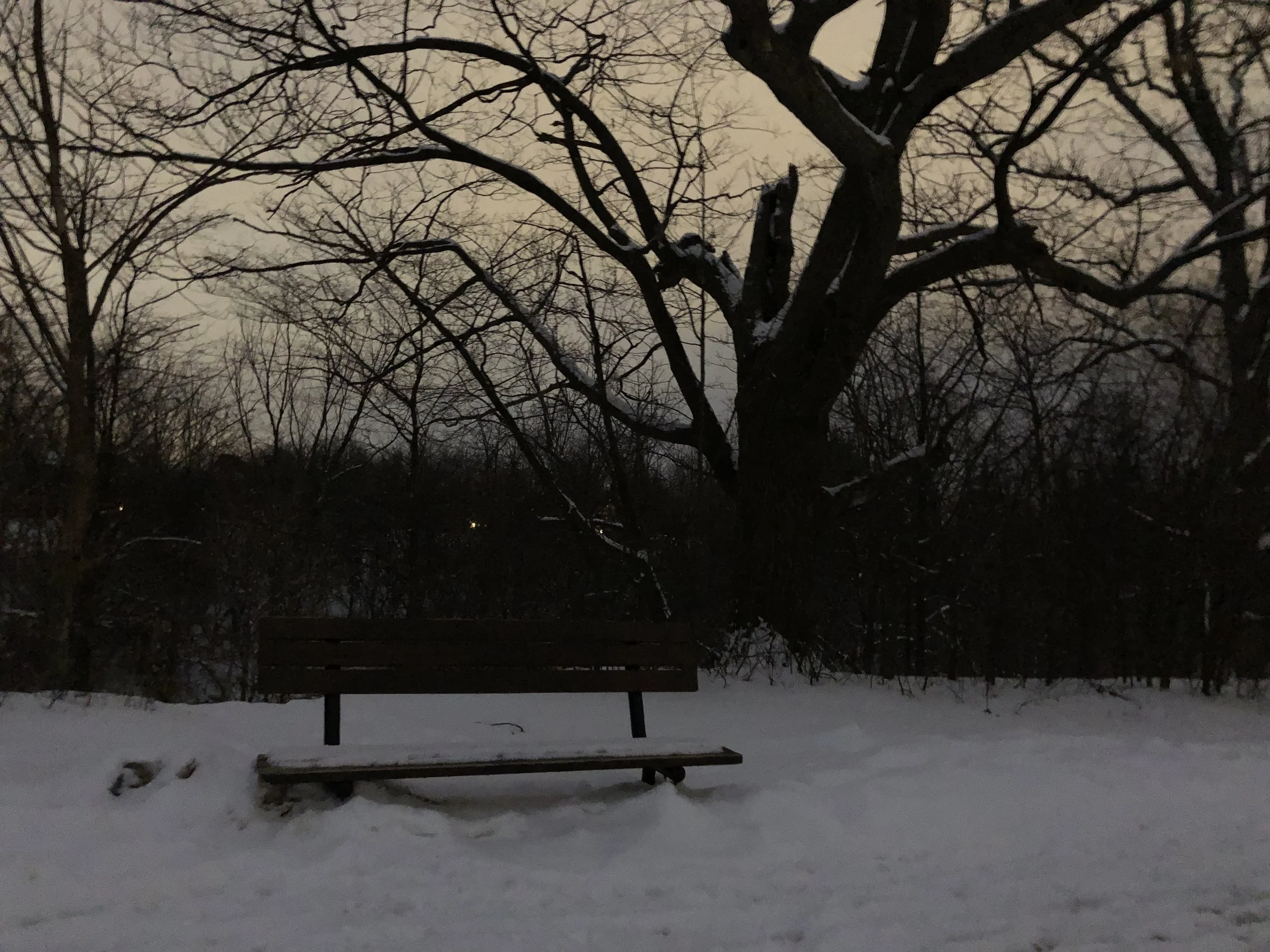 IMG_1009.jpeg